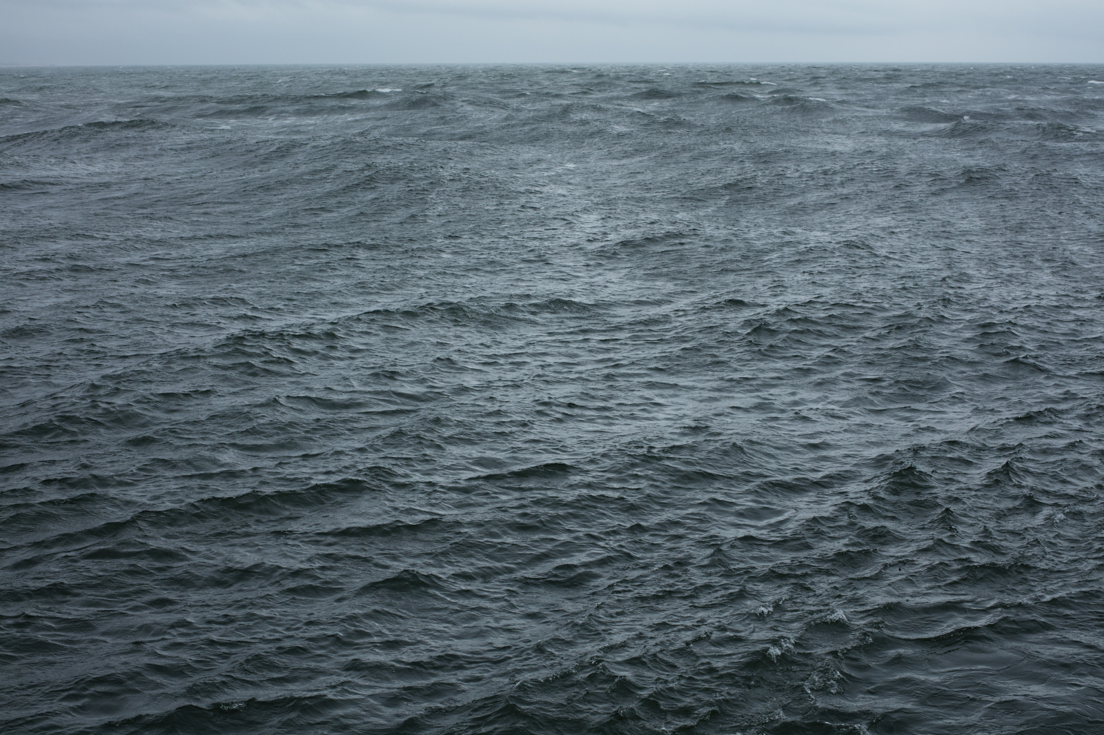 The State We’re In, A, 2015 / Fot. własność Galerie Buchholz, Galerie Chantal Crousel, Paris, Maureen Paley, London, David Zwirner, New York