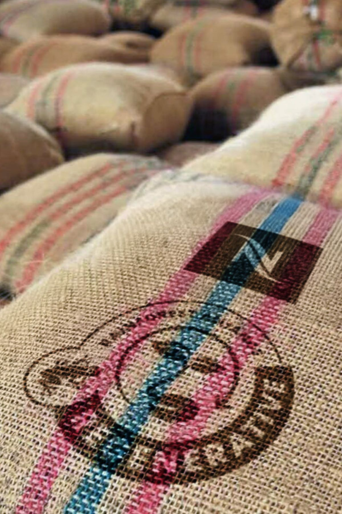 Rainforest Alliance to nowy standard w trosce o naturę, rolników i przyszłość kawy. / Fot. Materiały prasowe