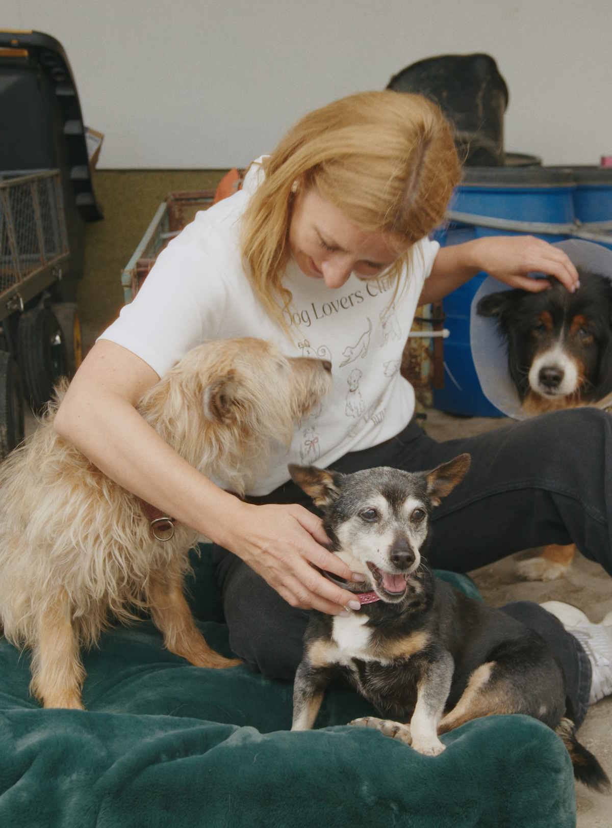 Marka Bizuu organizuje akcję Dog Lovers Club. Blanka Jordan w białej koszulce głaszcze psa siedzącego obok, a drugi pies przyszedł bliżej. W tle widać akcesoria dla zwierząt.