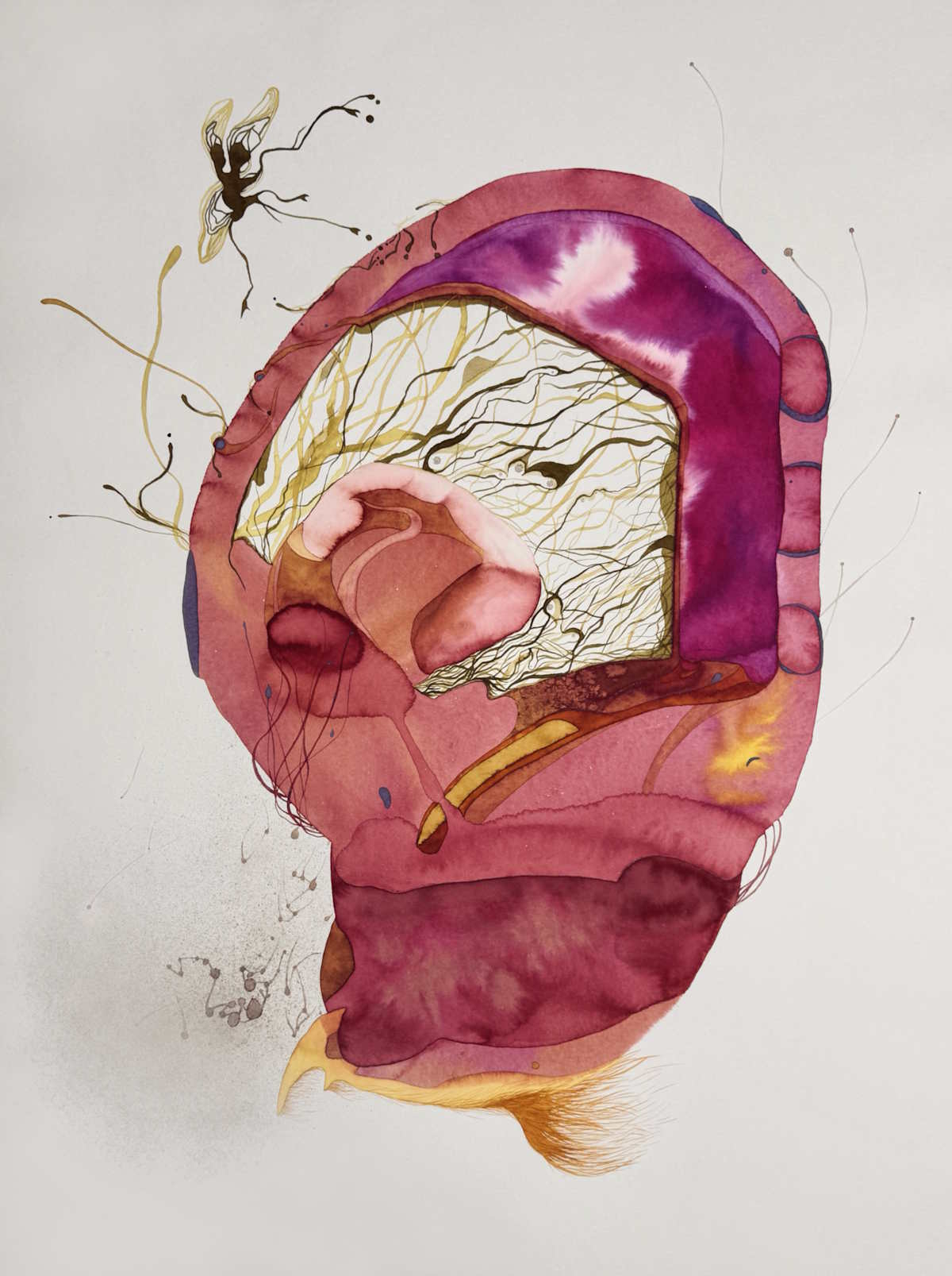 Fot. Piękna Gallery / Remi Urant