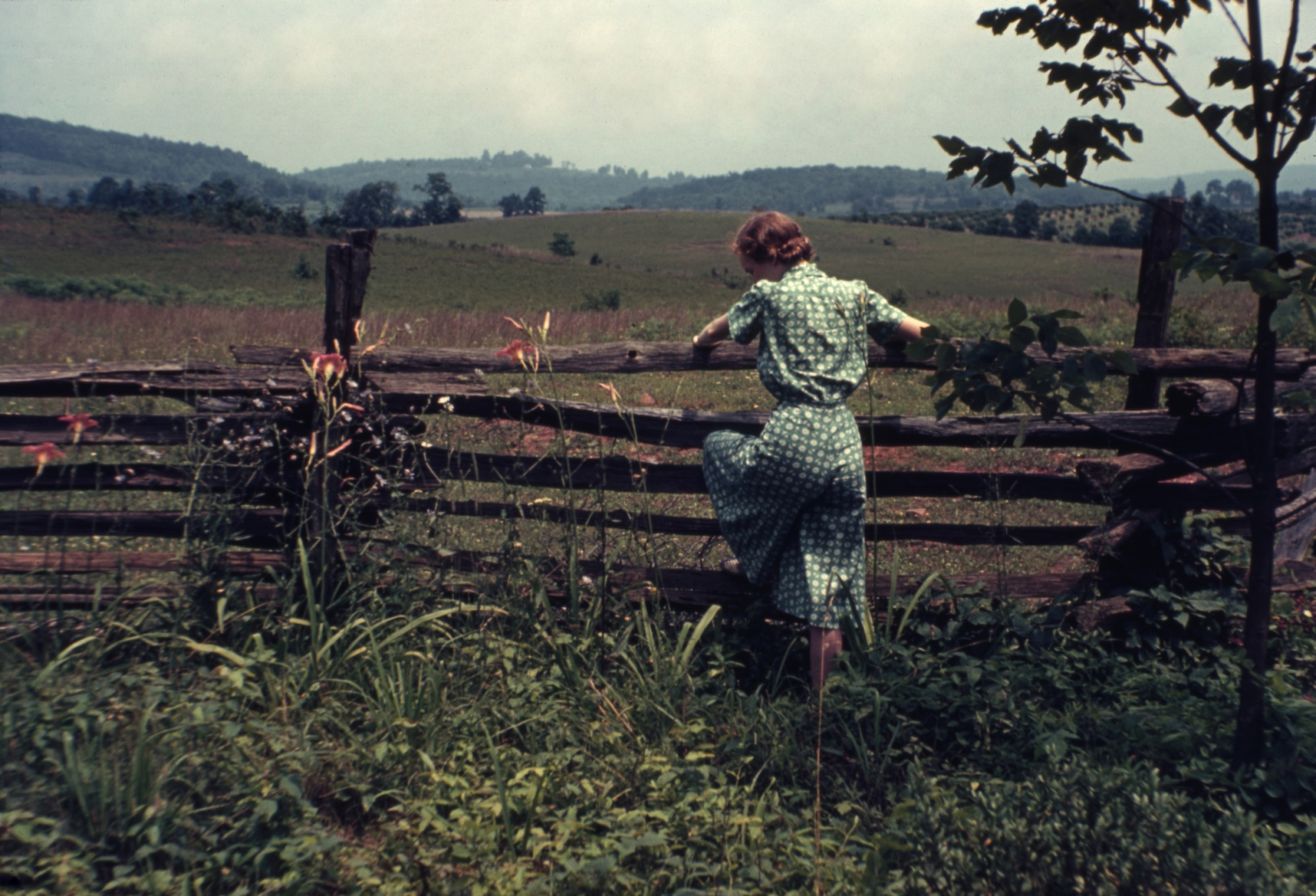 (Fot. Jim Heimann Collection/Getty Images)
