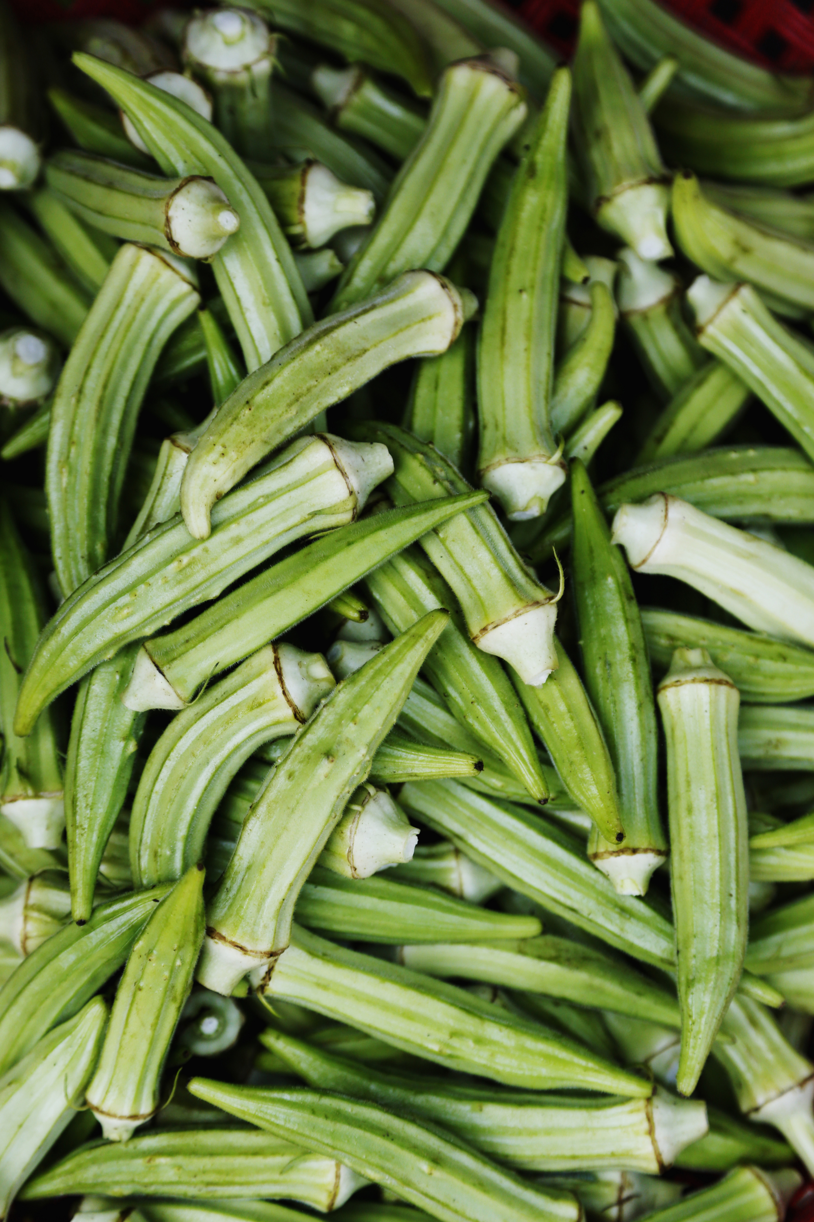 Okra. (Fot. Holly Wilmeth)