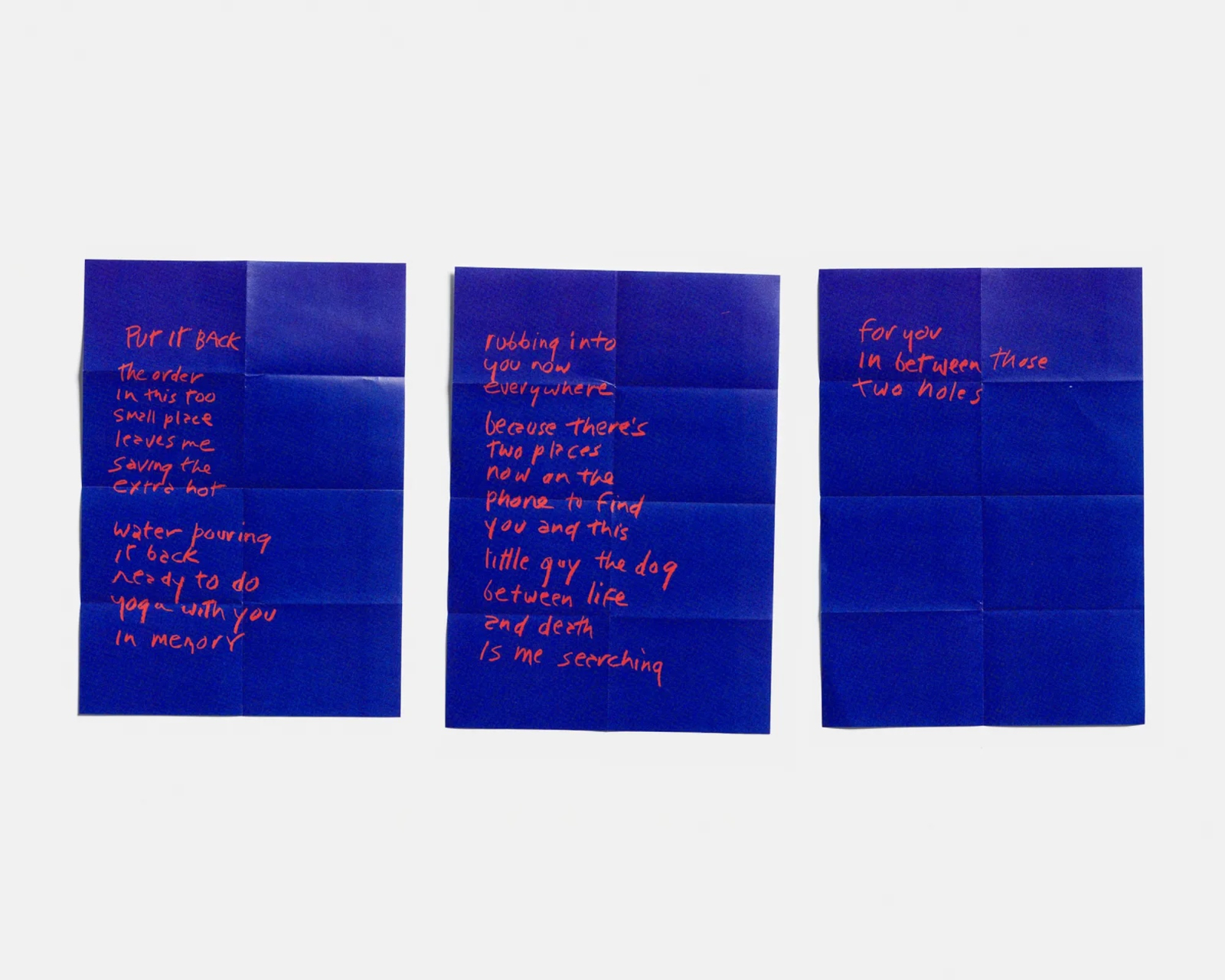 Vitale nalegał, by zaangażować w projekt Eileen Myles, którego od lat cenił za emocjonalną surowość jego poezji oraz zaangażowanie w walkę o prawa osób LGBT+. (Fot. Dzięki uprzejmości Versace)