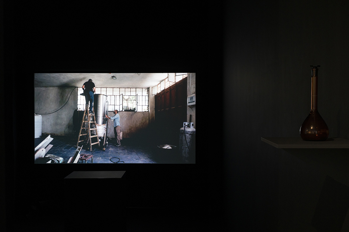 Wystawa Historie potencjalne, Zachęta – Narodowa Galeria Sztuki, 19.10–02.02.2024, Karolina Grzywnowicz, Dark Green, 2024, (Fot. Maciej Landsberg/archiwum Zachęty, CC BY-SA)