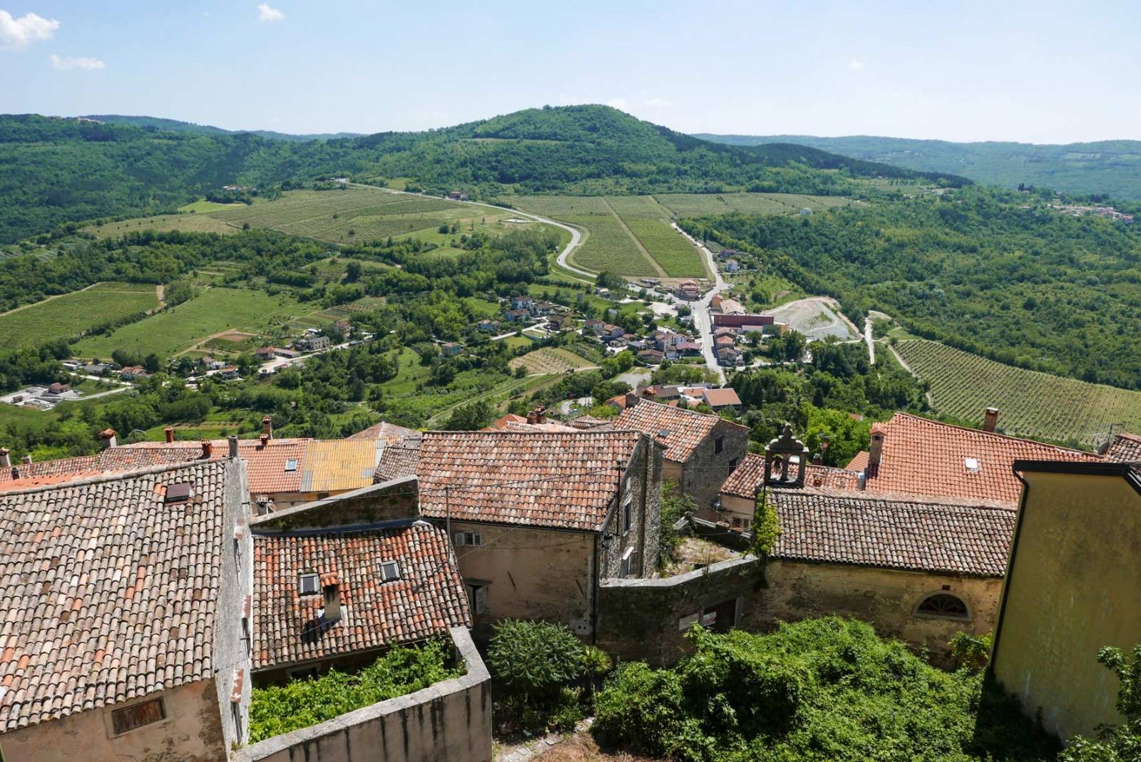 Widok z Motovun (Fot. Basia Starecka)