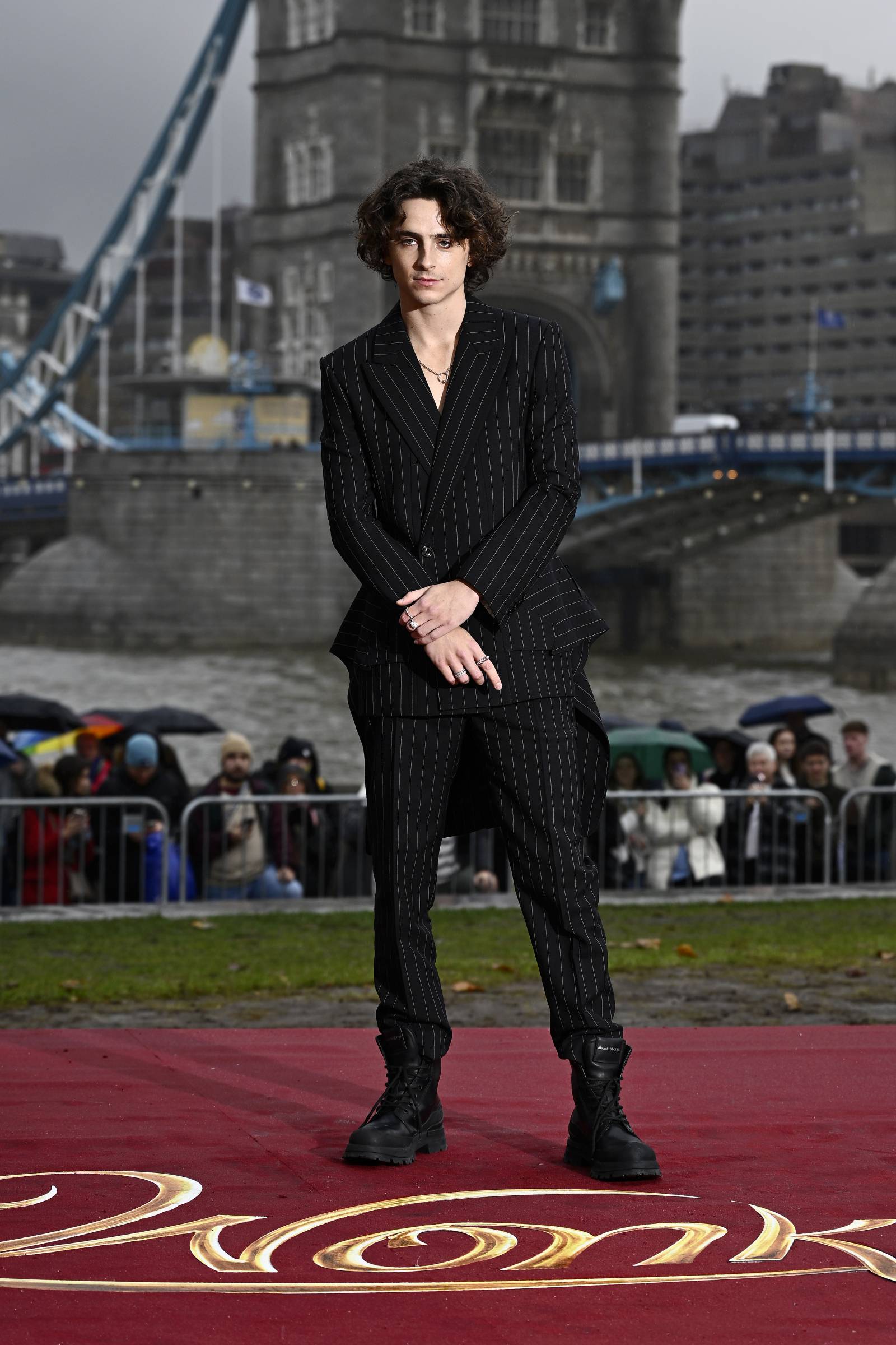 Timothee Chalamet / Fot. Getty Images
