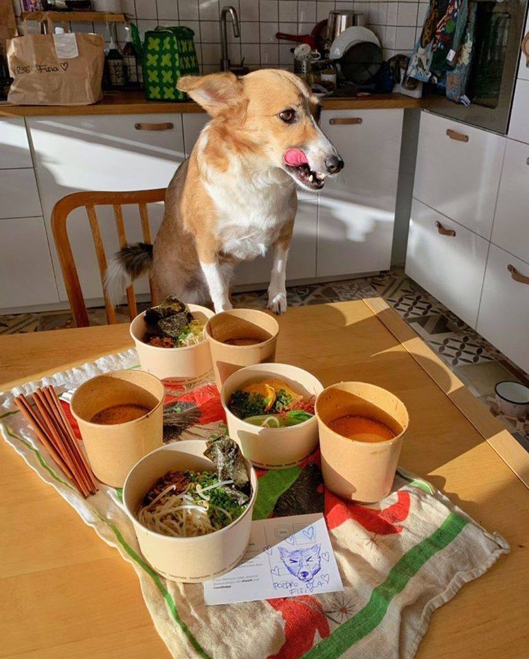 Vegan Ramen Shop  (Fot. Materiały prasowe)