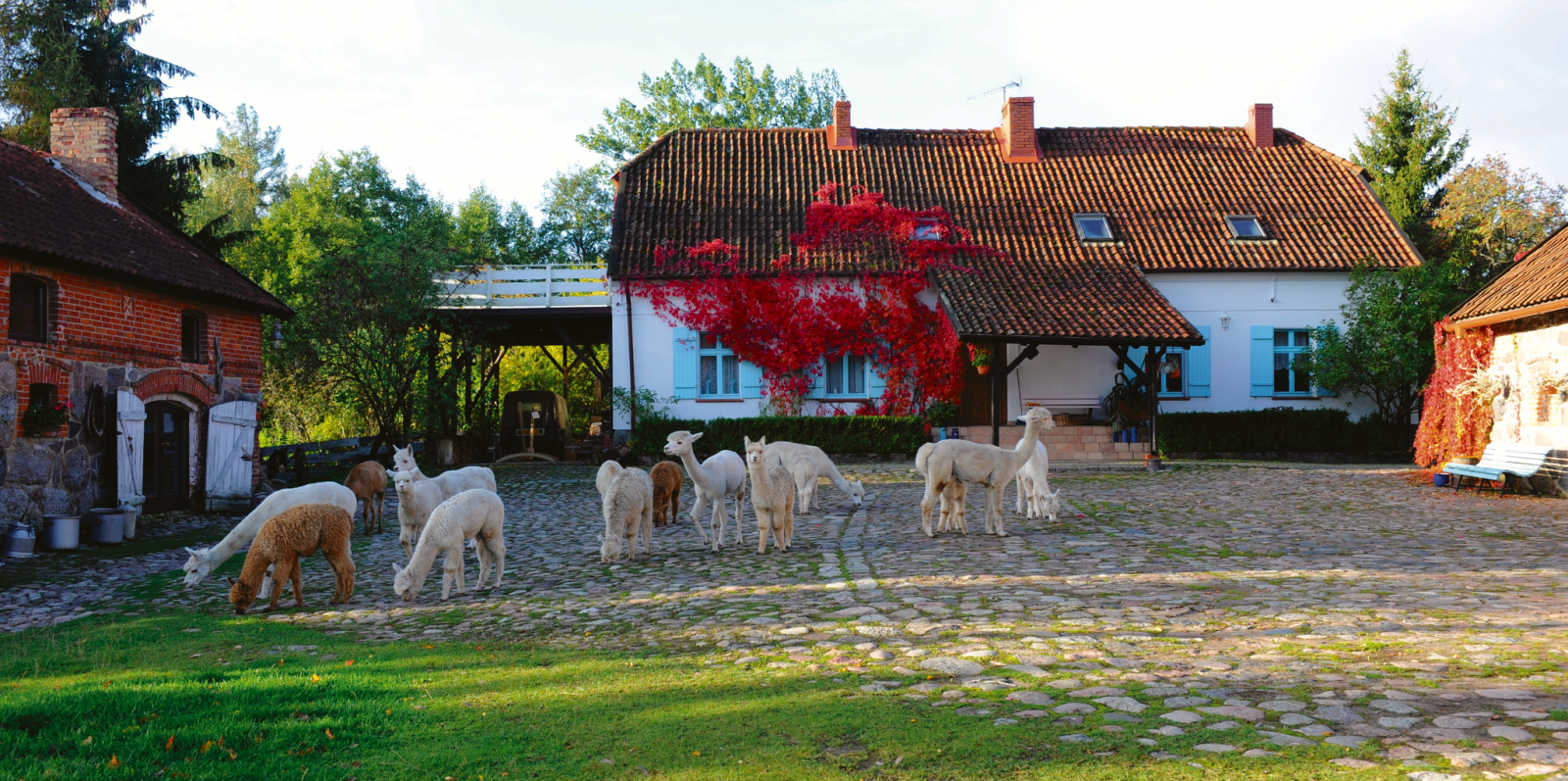 Gościniec Bocianowo / Fot. Kornelia Westergaard