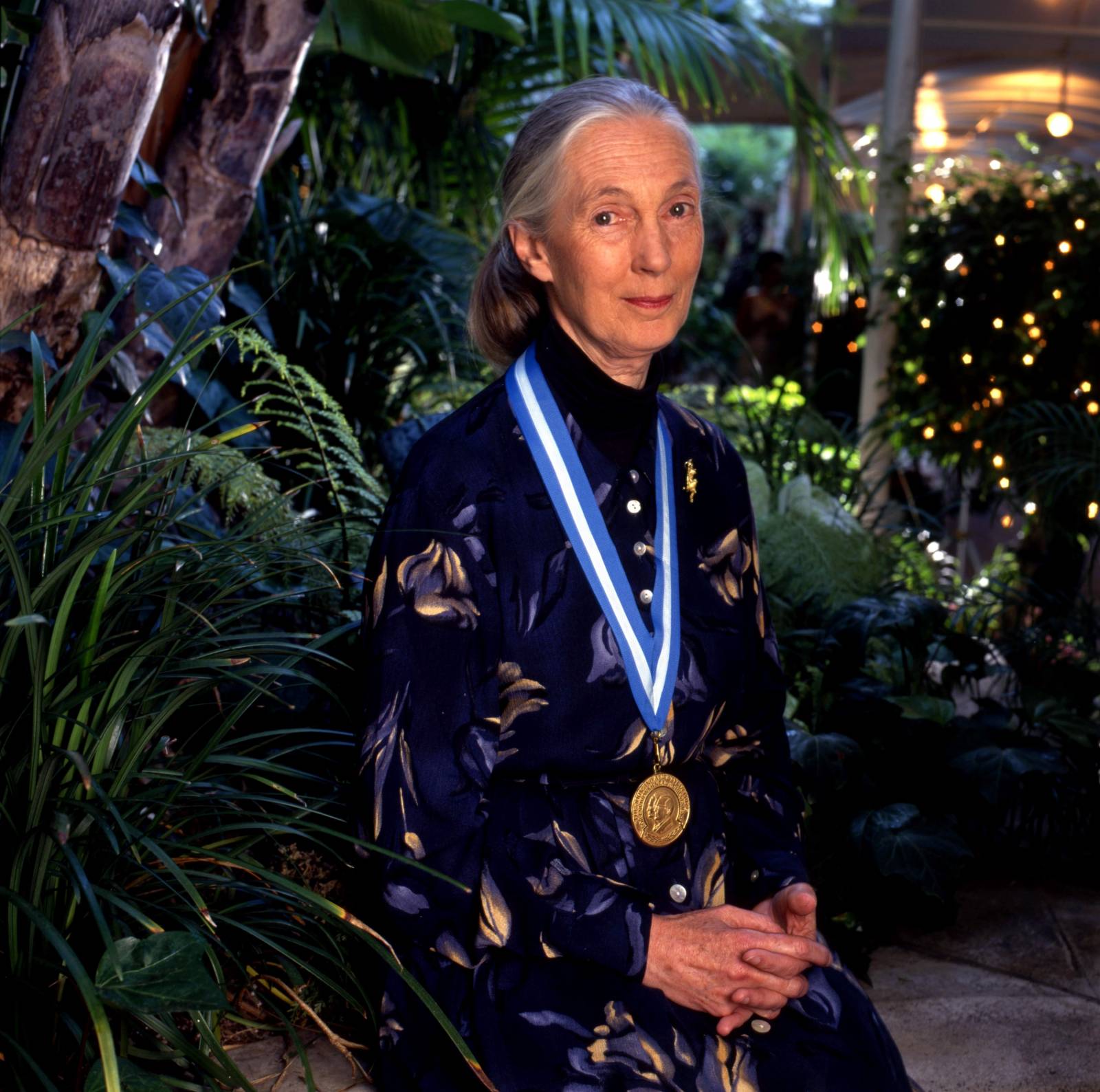 Jane Goodall (Fot. Getty Images)