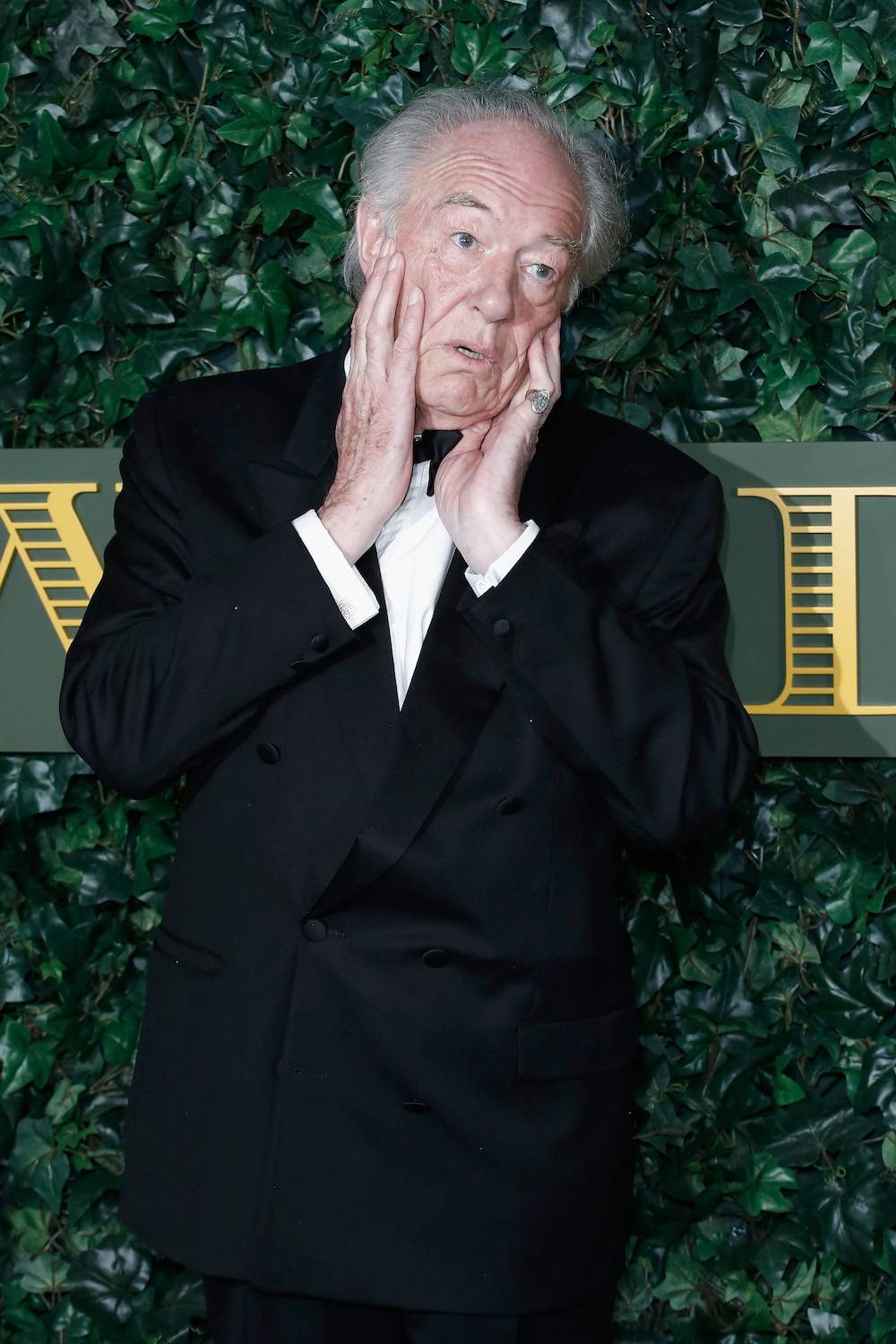 Michael Gambon w 2016 roku (Fot. Getty Images)