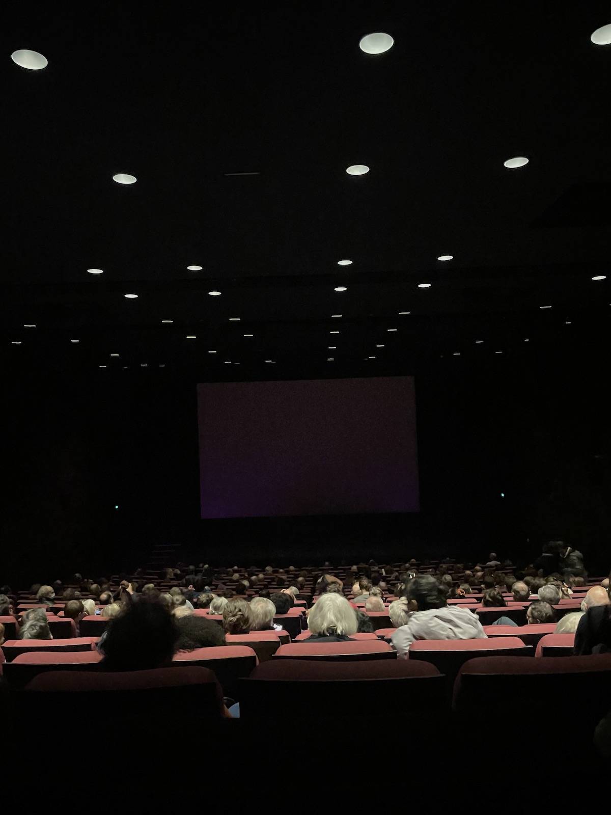 Na chwile przed seansem w Cinémathèque française (Fot. Archiwum własne)