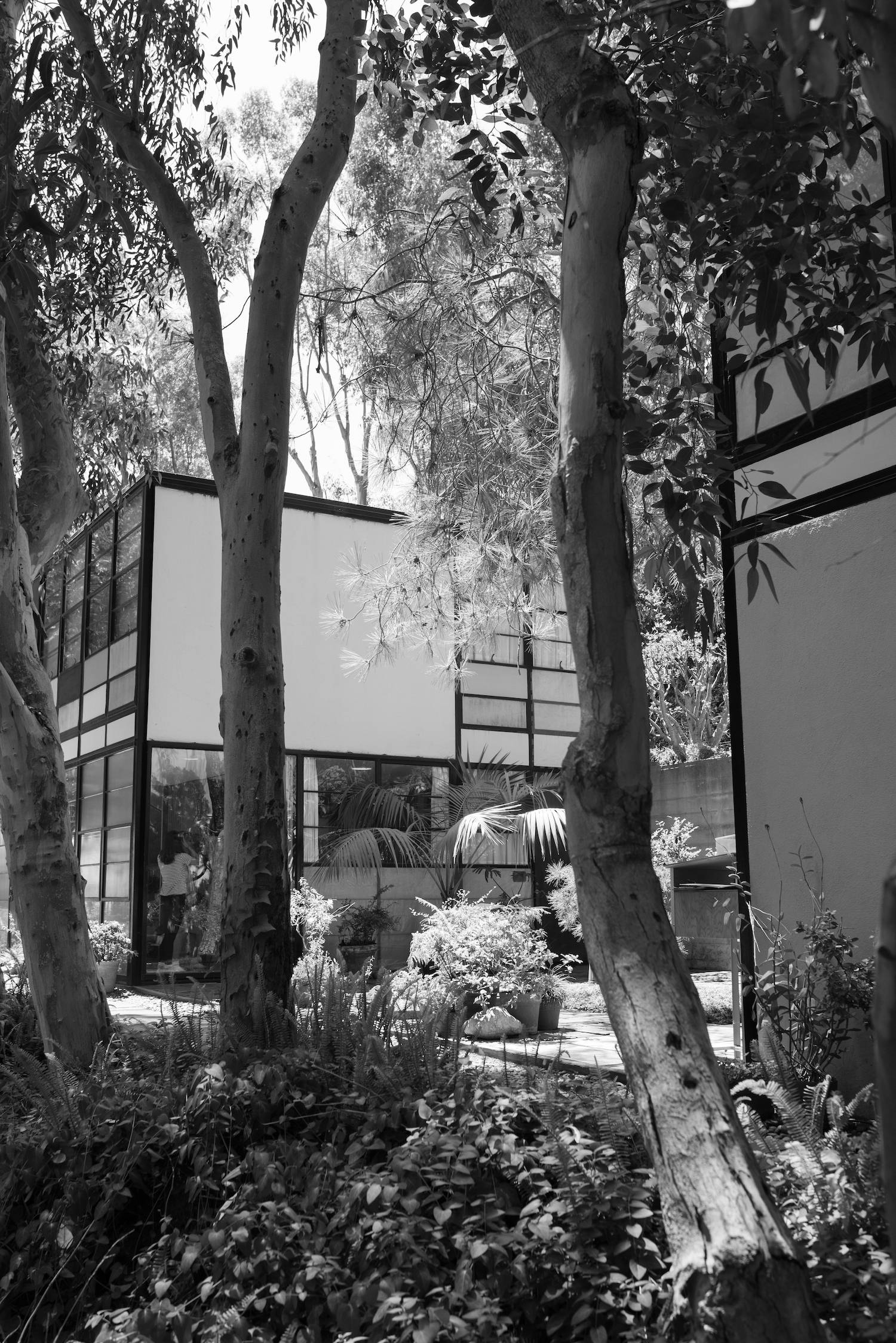 Eames House / Fot. Archiwum własne