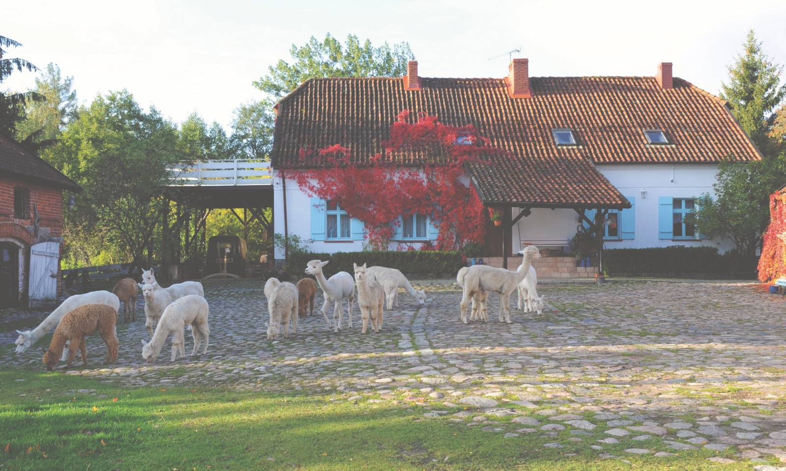 Fot. materiały prasowe