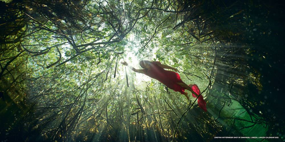 Biolożka morska i fotografka Cristina Mittermeier (Fot. Emanuel „Chivo” Lubezki)