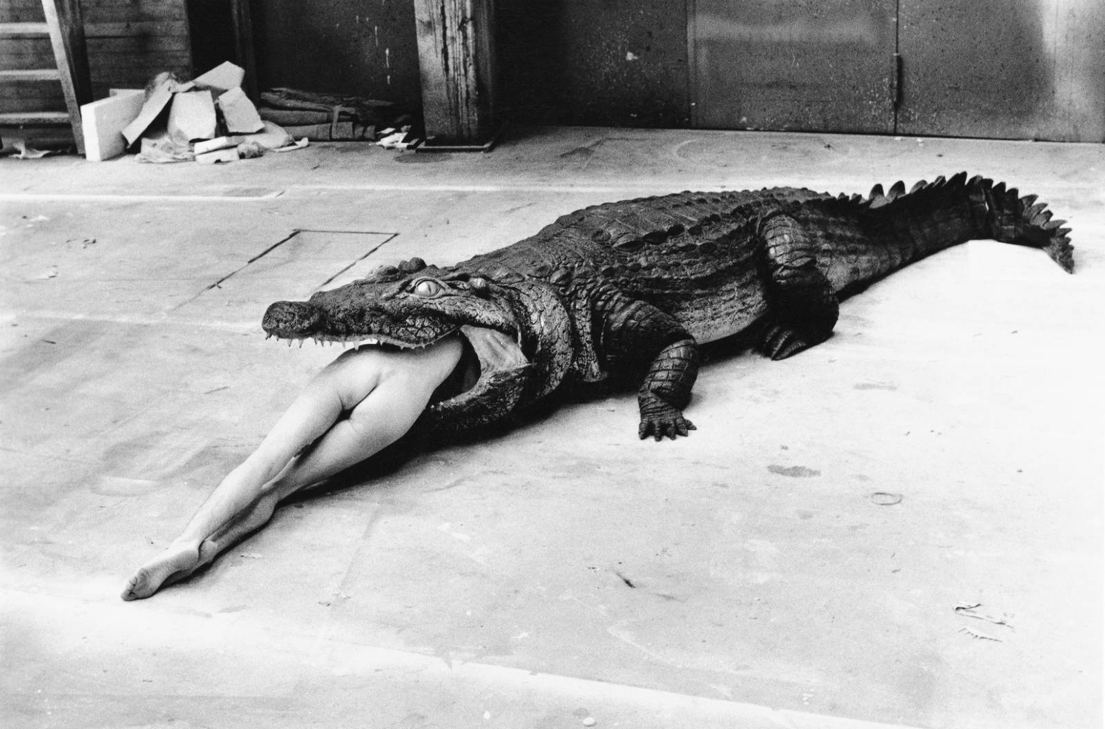 (Fot. Helmut Newton)