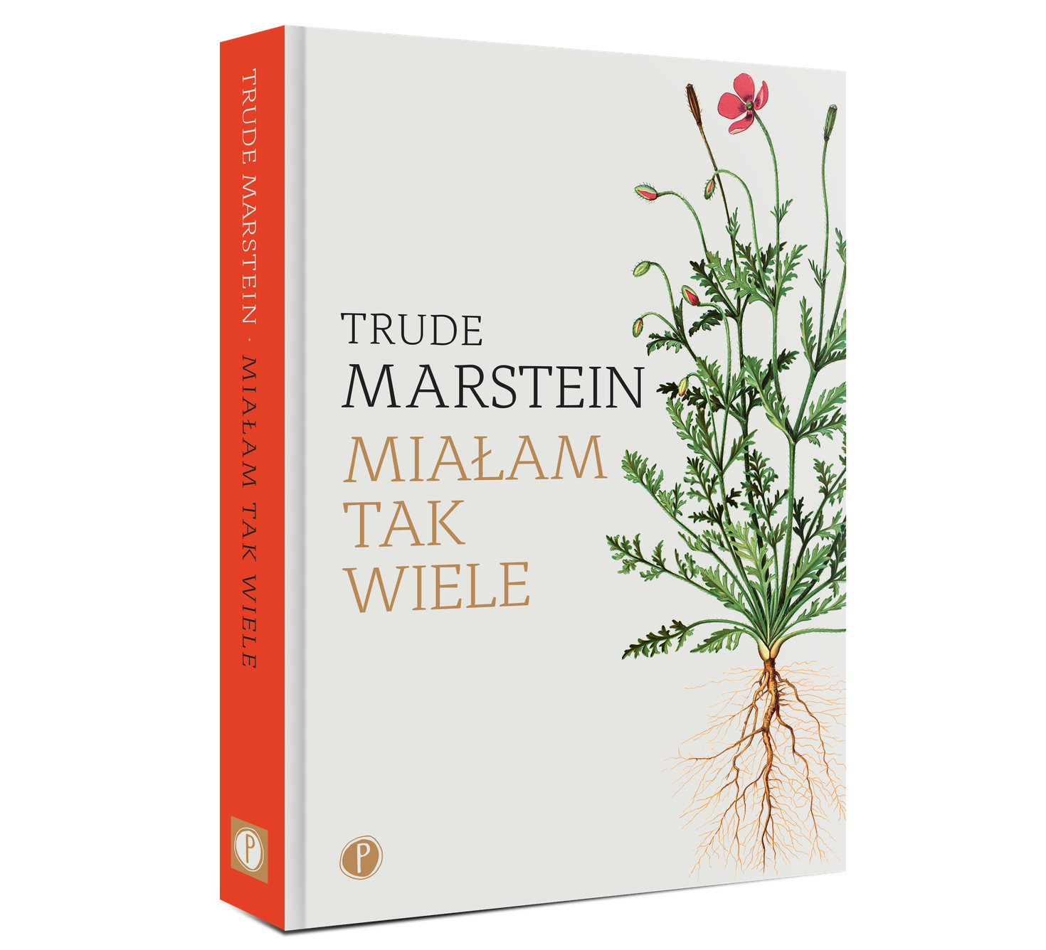 „Miałam tak wiele”, Trude Marstein, tłumaczenie Karolina Drozdowska, Pauza / (Fot. Materiały prasowe)