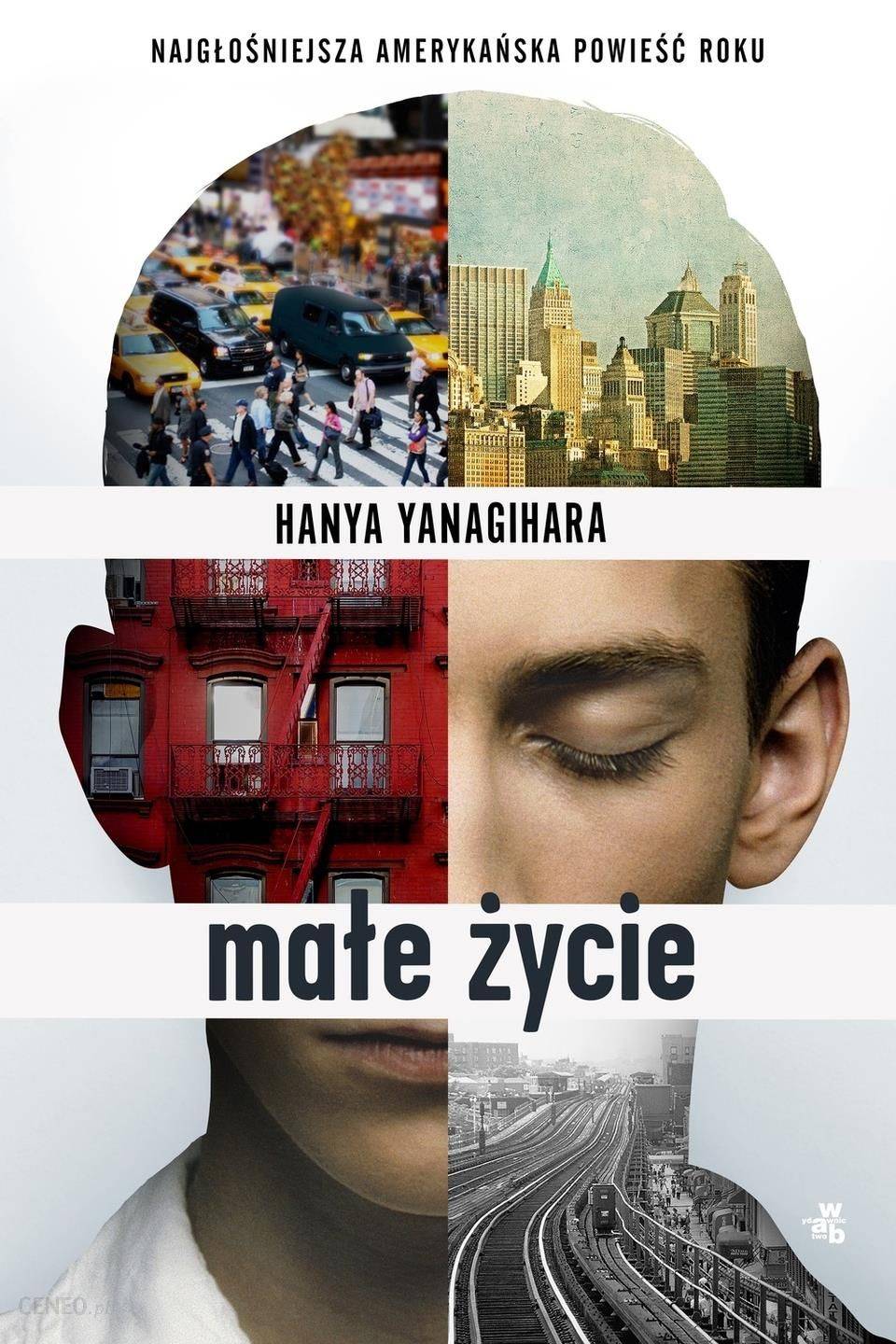 „Małe życie” Hanya Yanagihara (Fot. Materiały prasowe)