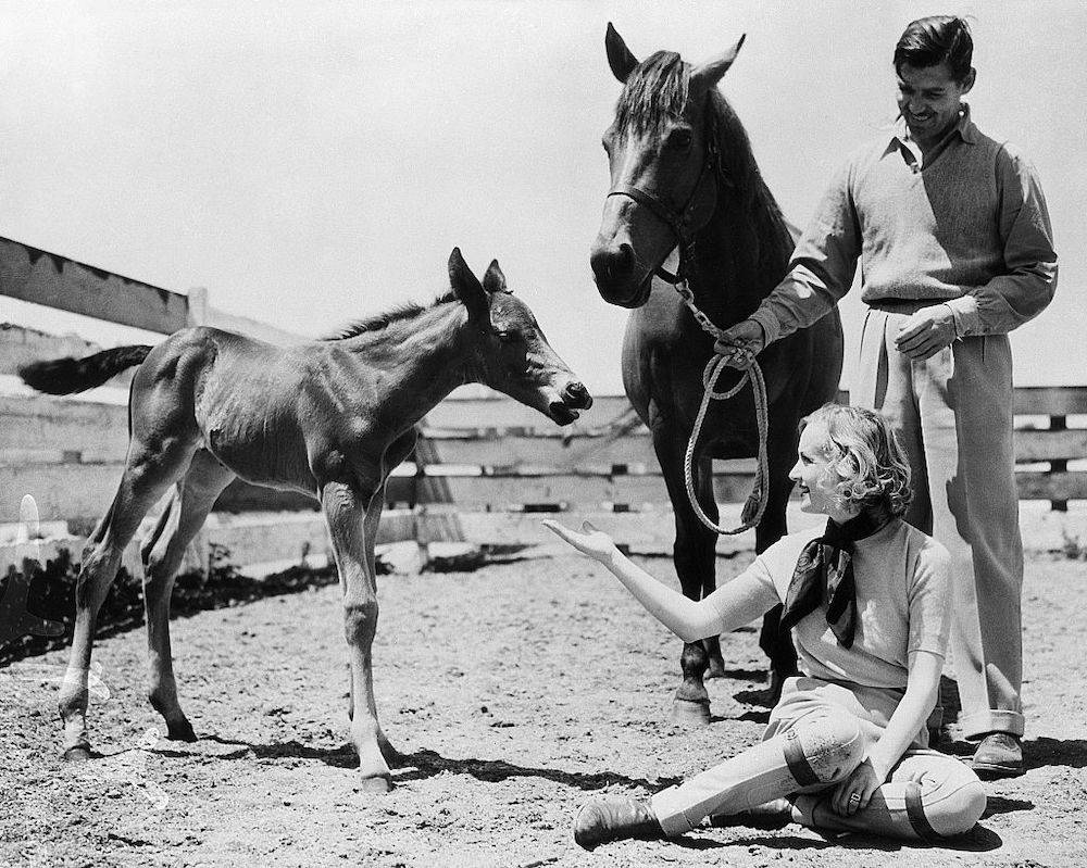 Carole Lombard i Clark Gable (Fot. Getty Images)