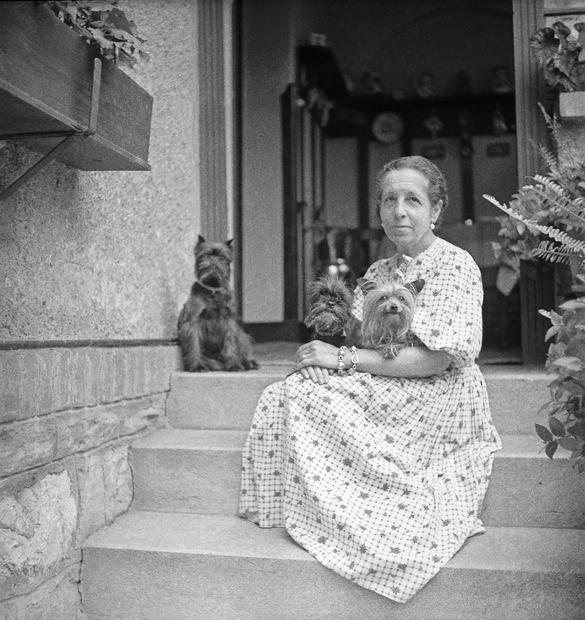 Madame DOra ze swoimi psami w 1935 roku