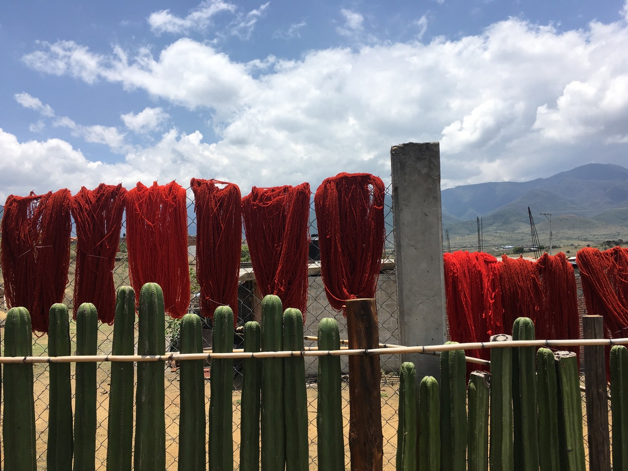 Oaxaca, Meksyk — wełna barwiona naturalnymi metodami (Fot. Archiwum prywatne)
