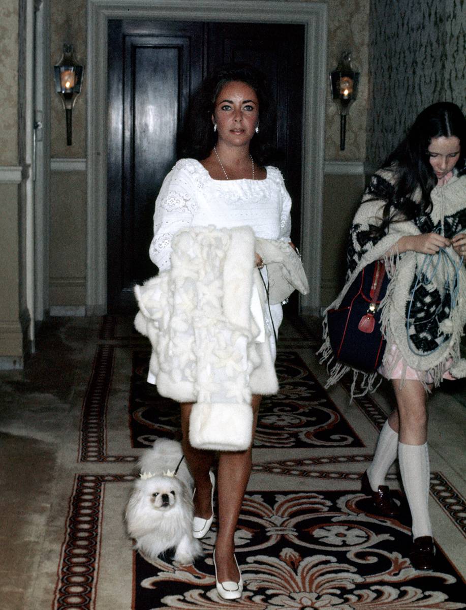 Elizabeth Taylor (Fot. Ron Galella/Ron Galella Collection via Getty Images)