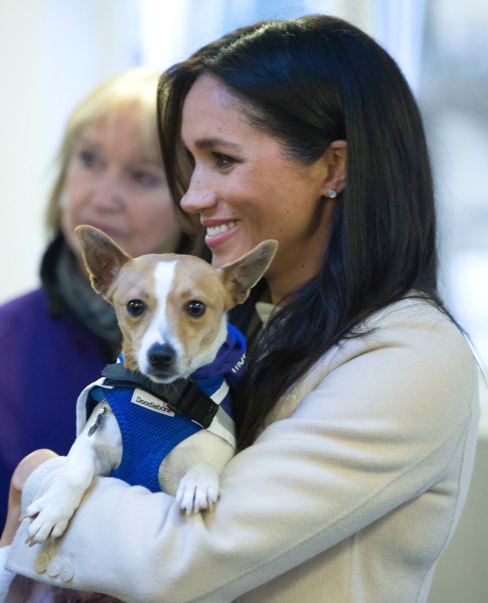 Meghan z Minnie, terierem ze schroniska (Fot. REX/Shutterstock/EastNews)