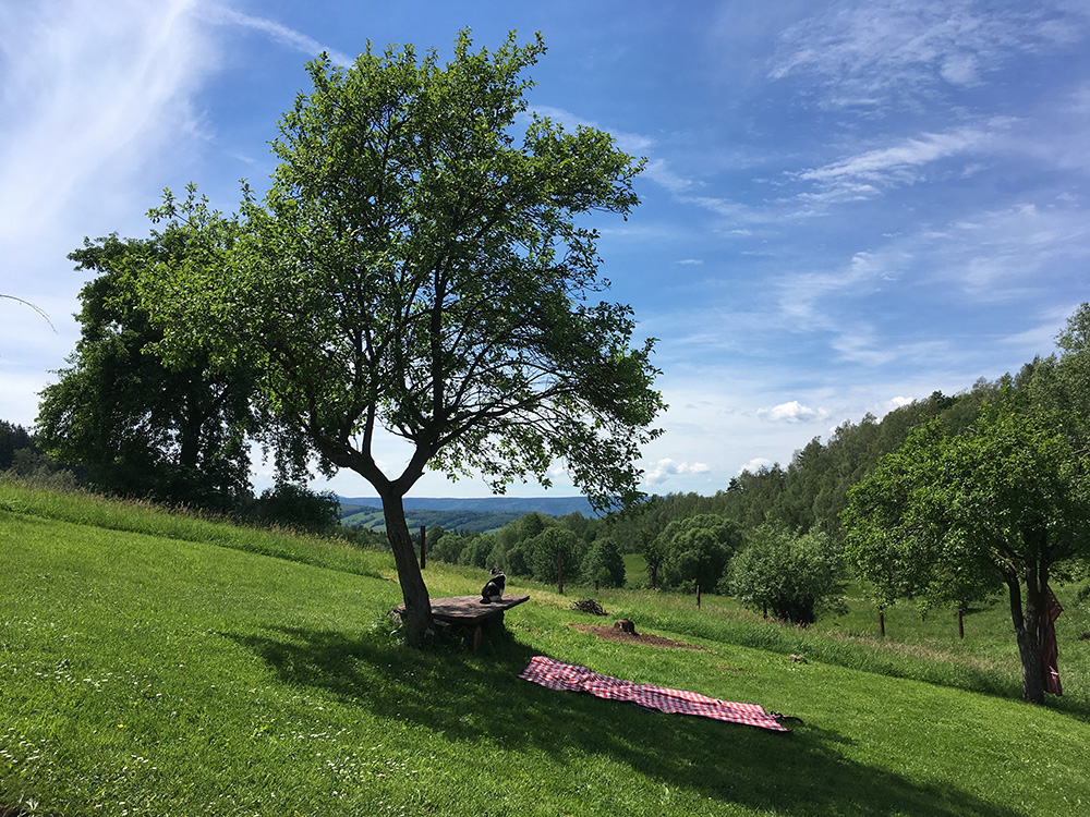 KokuRyku widok (Fot. Materiały prasowe)