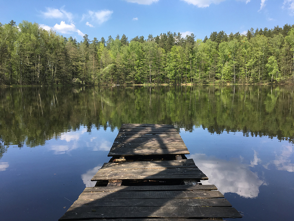 Pomost (Fot. Materiały prasowe)