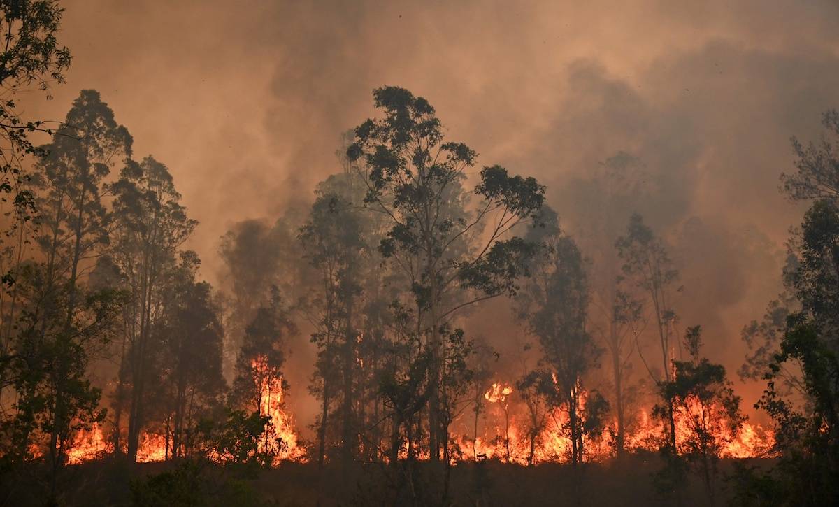 (Fot. PETER PARKS/AFP/East News)