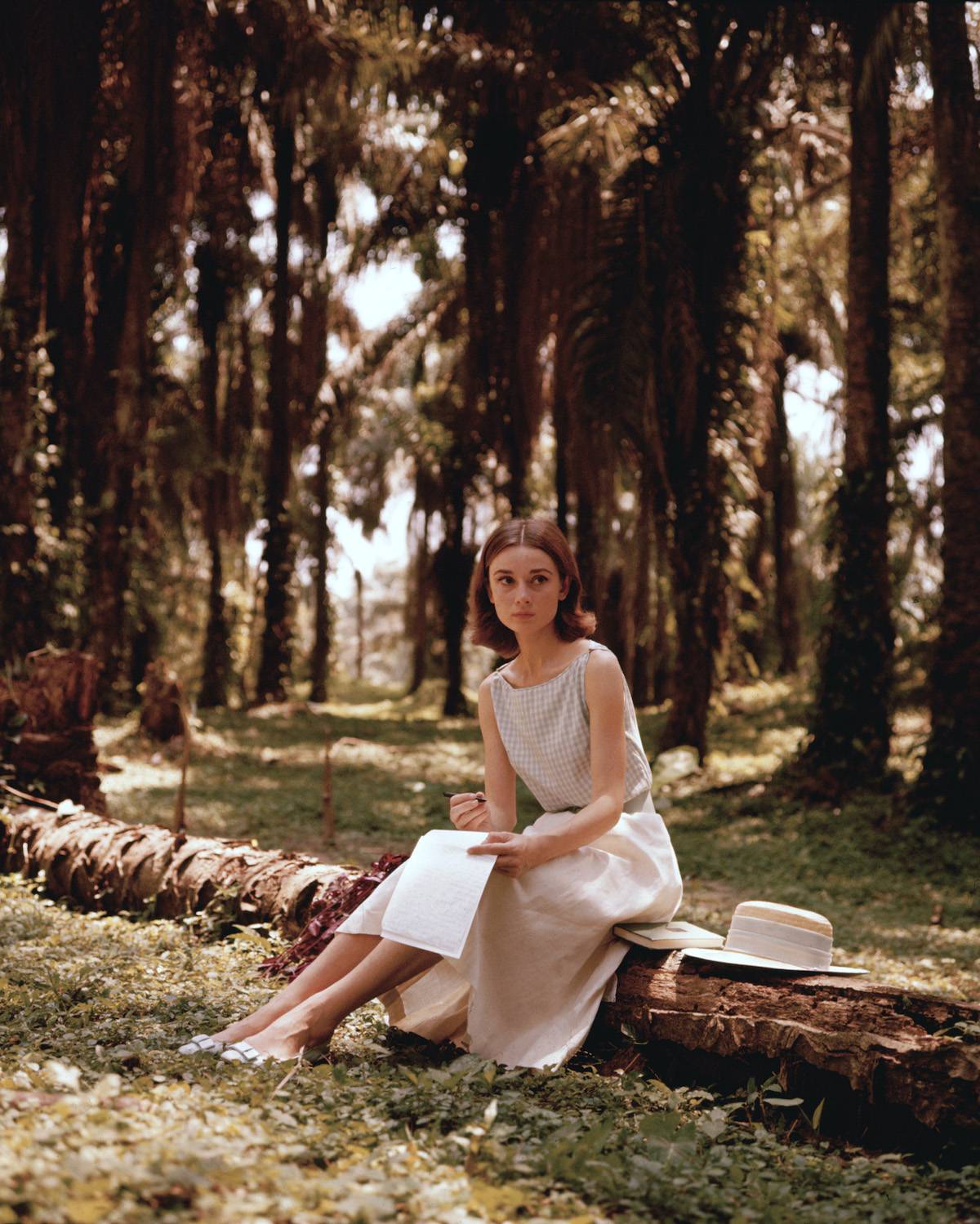 „Audrey”, premiera 14 marca / Fot. Getty Images