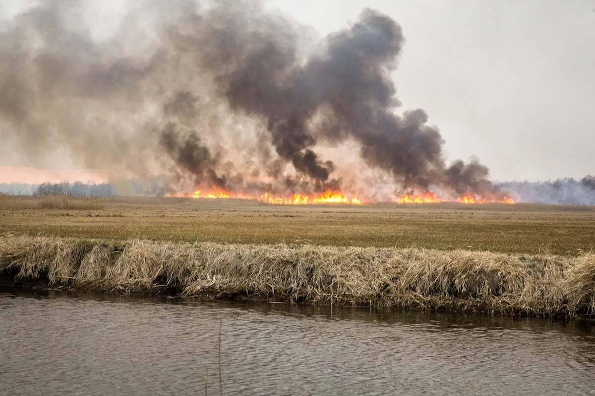 Pożary w Biebrzańskim Parku Narodowym / (Fot. Marek Maliszewski/REPORTER)