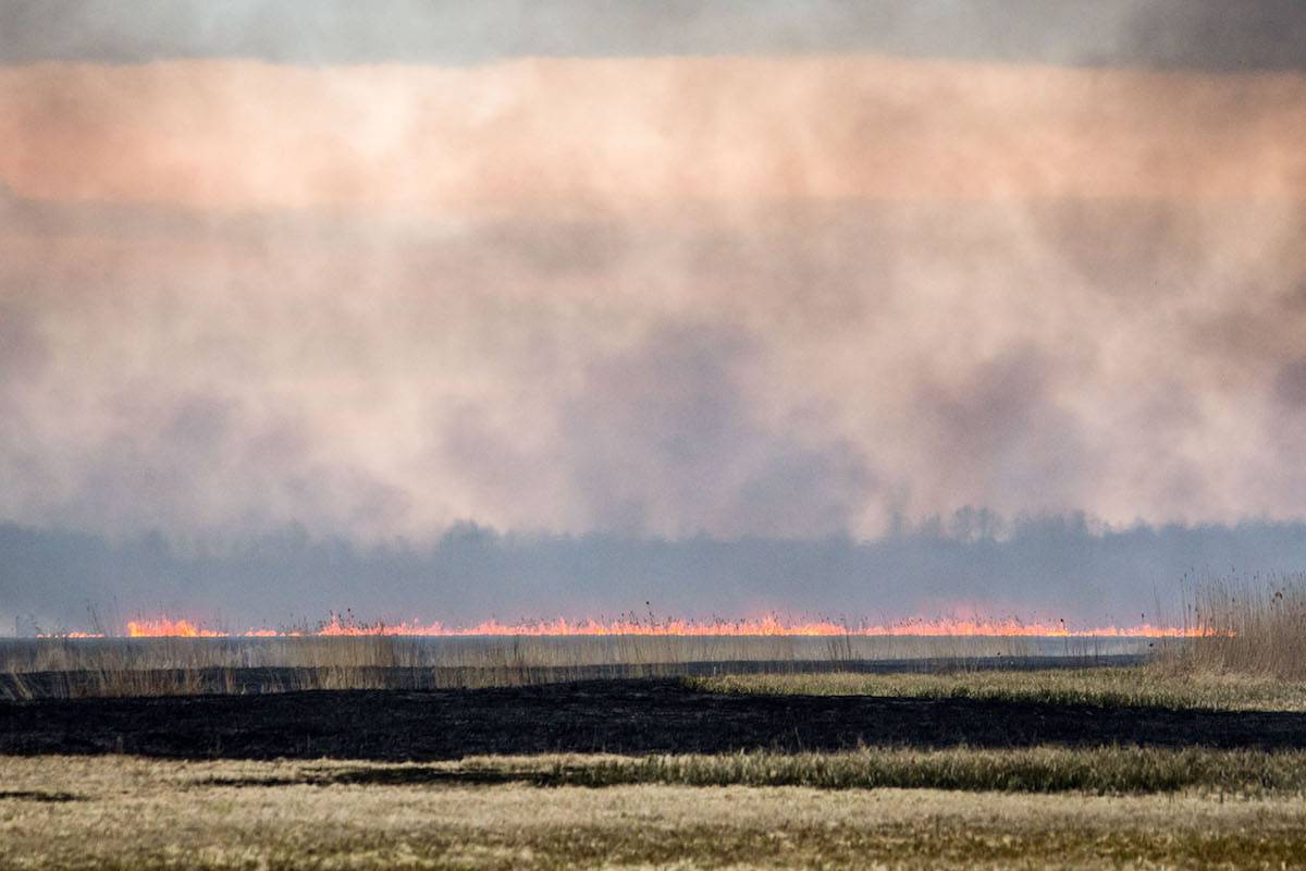 Pożary w Biebrzańskim Parku Narodowym (Fot. Marek Maliszewski/REPORTER)