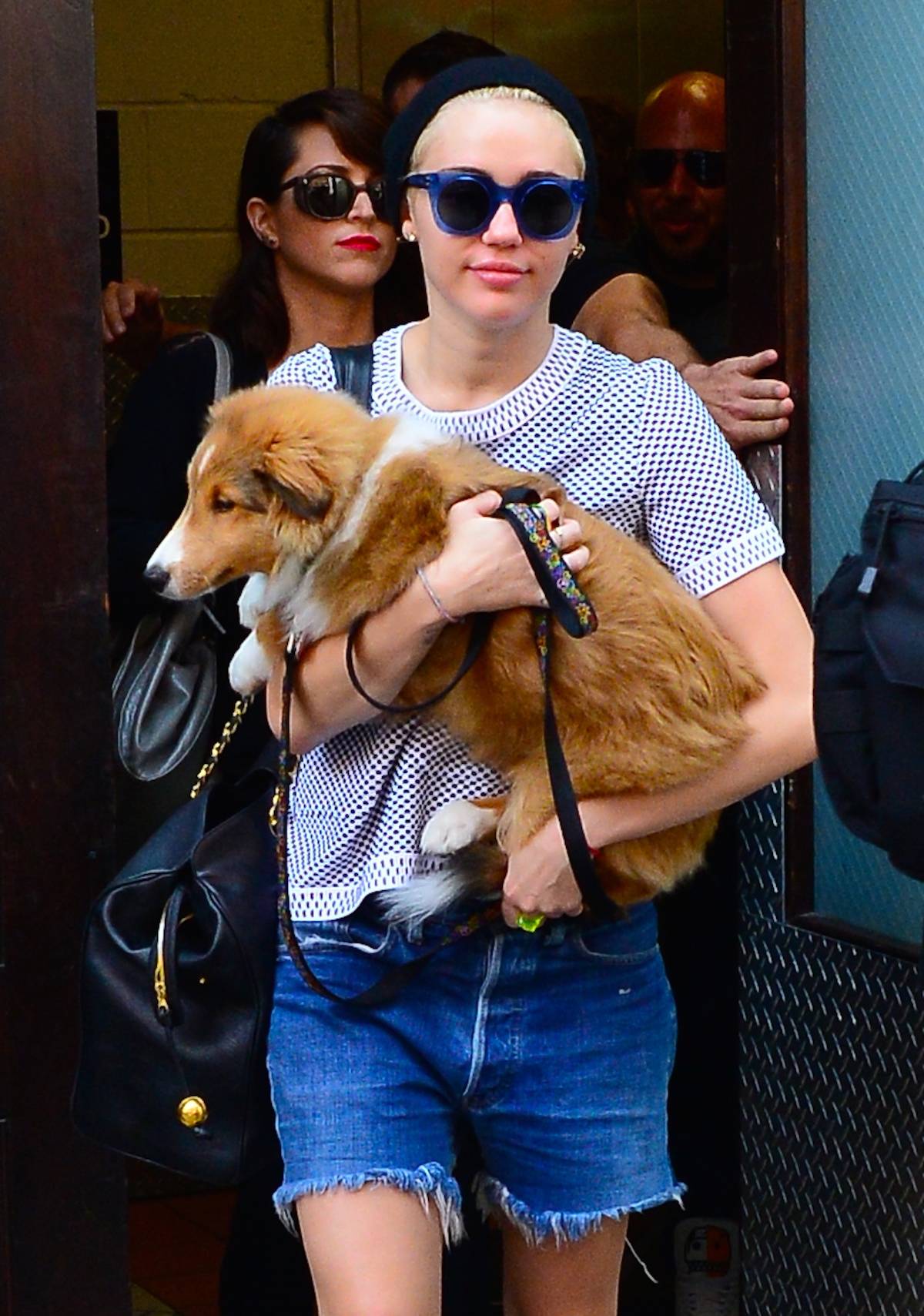 Miley Cyrus ze swoim psem w 2014 roku (Fot. Raymond Hall/GC Images)