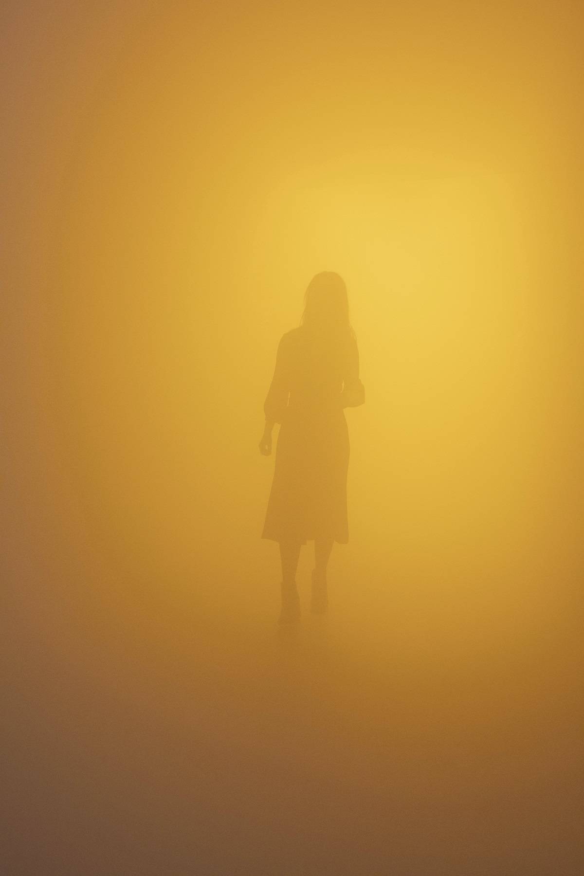 Olafur Eliasson, „Din blinde passager (Your blind passenger)”, 2010, 