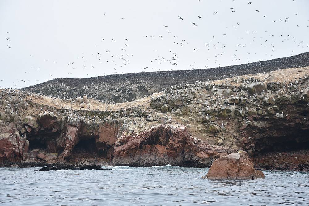 Paracas (Fot. Archiwum prywatne)