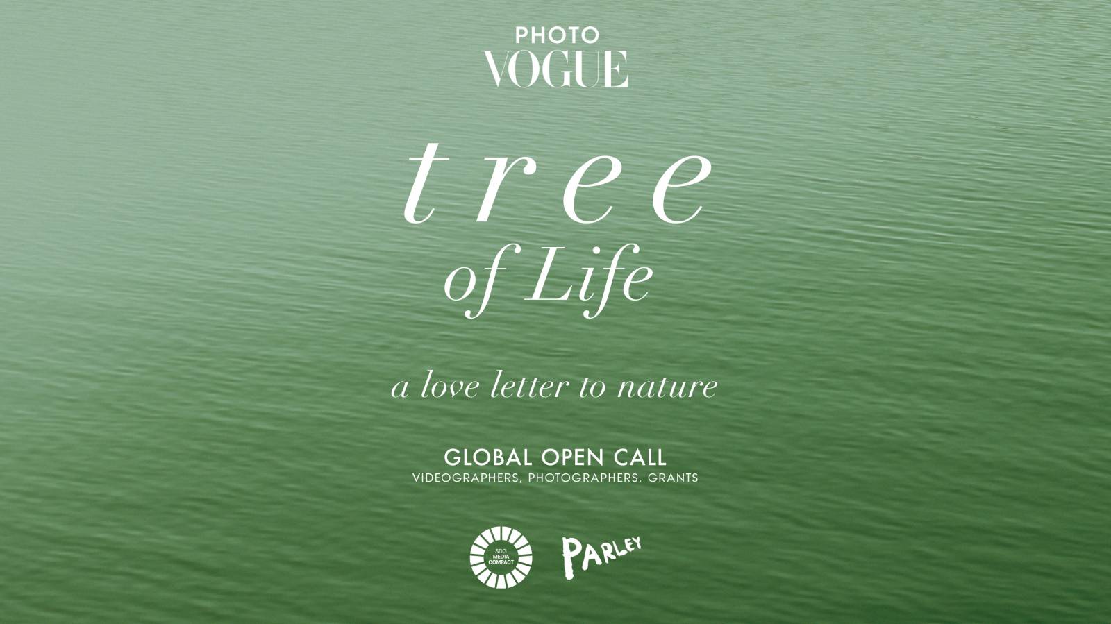 „Drzewo życia: List miłosny do natury” tematem przewodnim konkursu PhotoVogue 2024