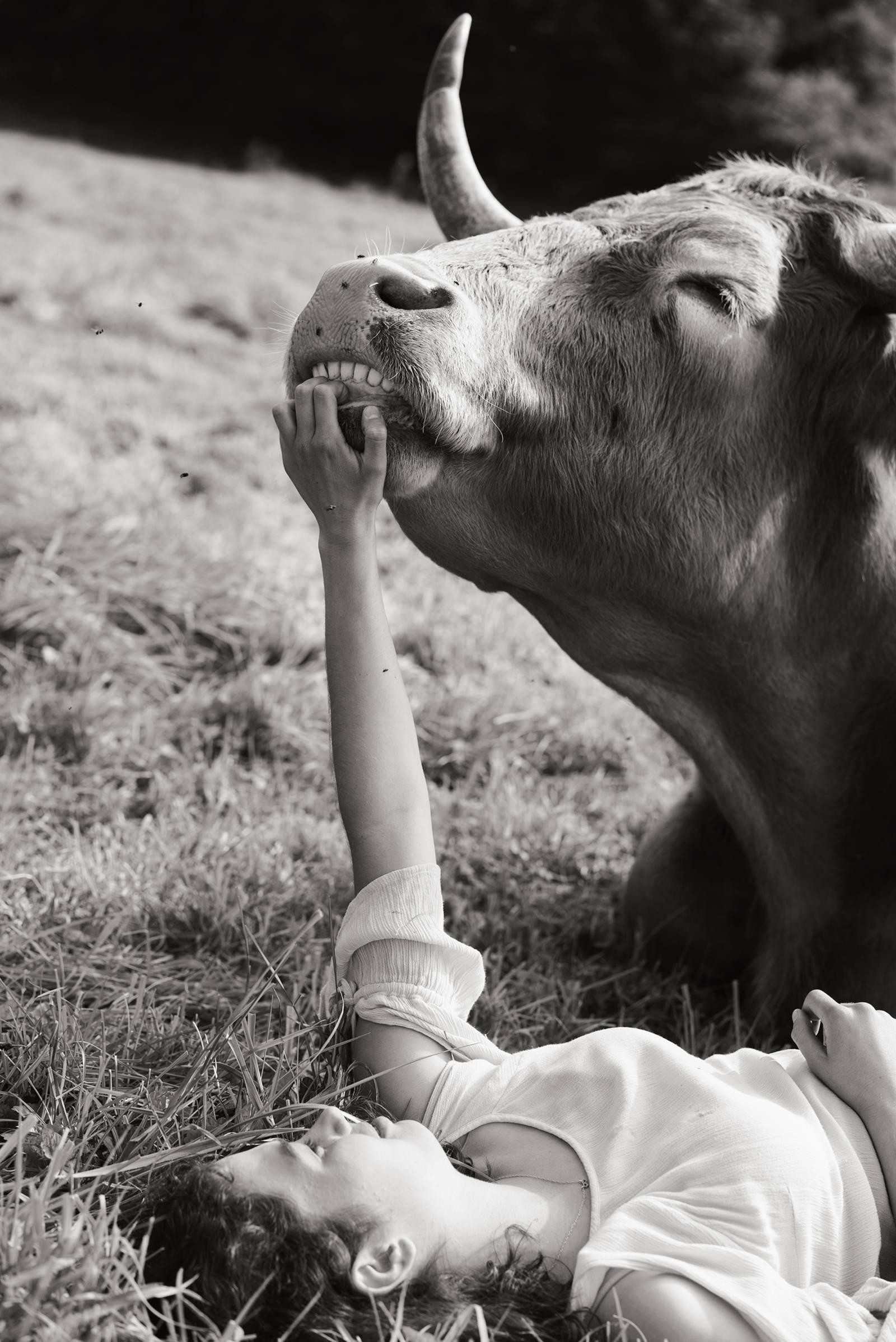 Zdjęcie z książki „Companions” Yany Wernicke @yanawernicke