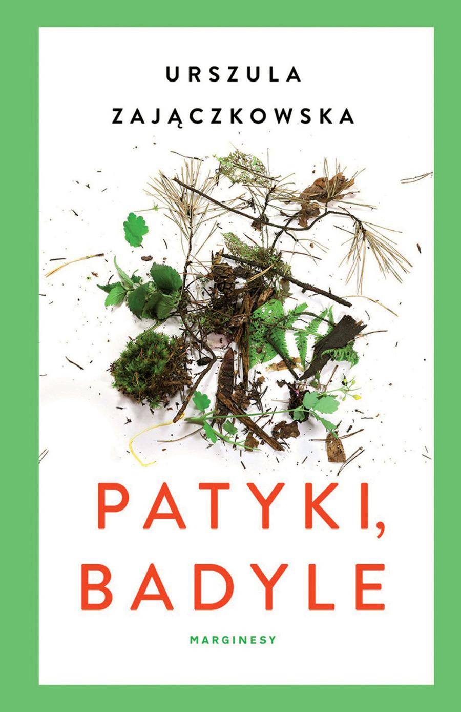 Urszula Zajączkowska, „Patyki, badyle”, wydawnictwo Marginesy, Warszawa 2019