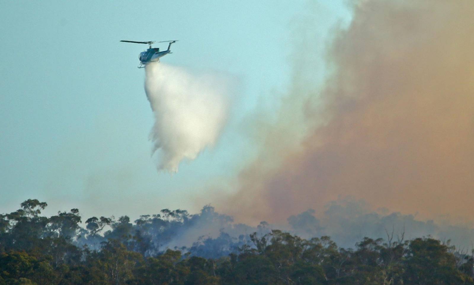 Pożar buszu w Australii (Fot. Getty Images)