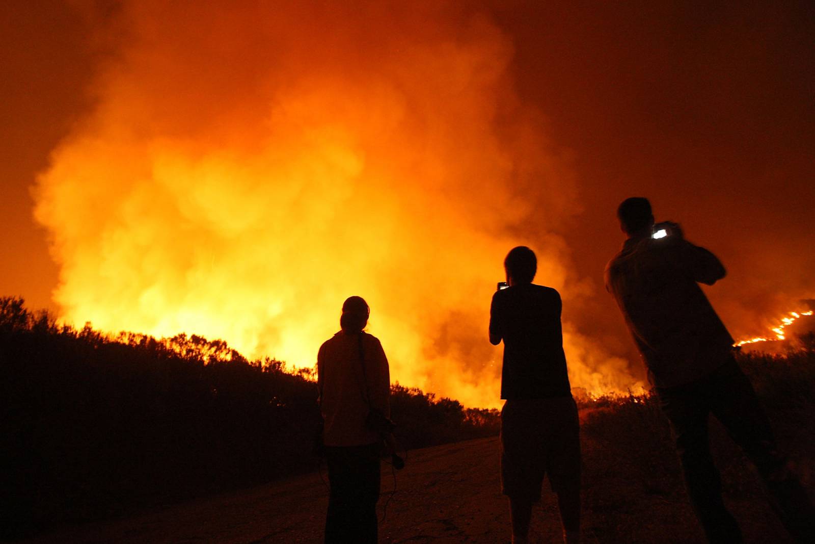 Pożar buszu w Australii (Fot. Getty Images)