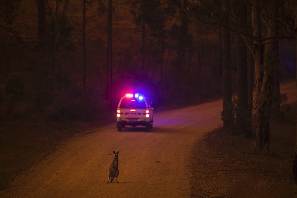 (Fot. Getty Images)