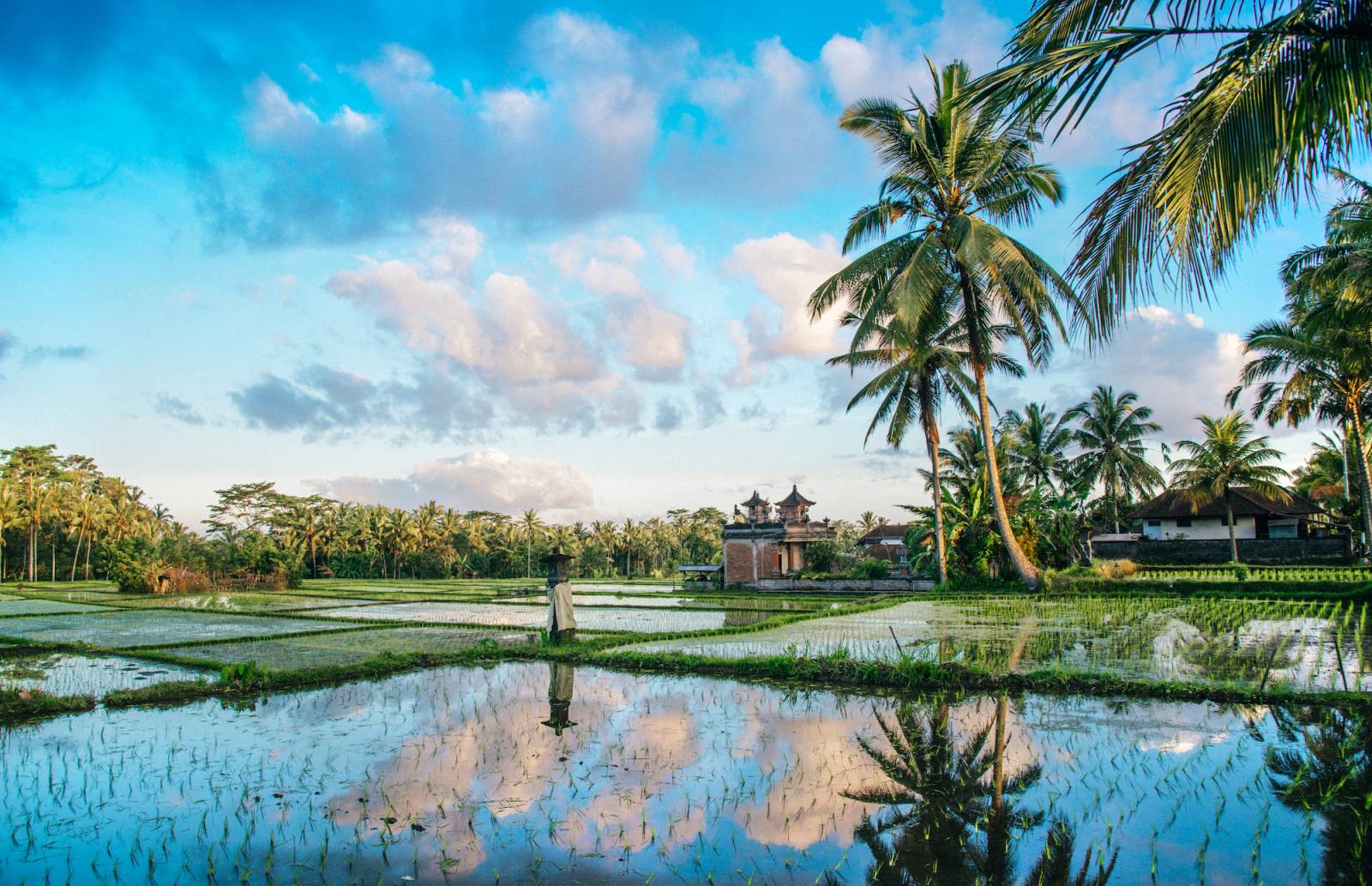 Bali (Fot. Getty Images)