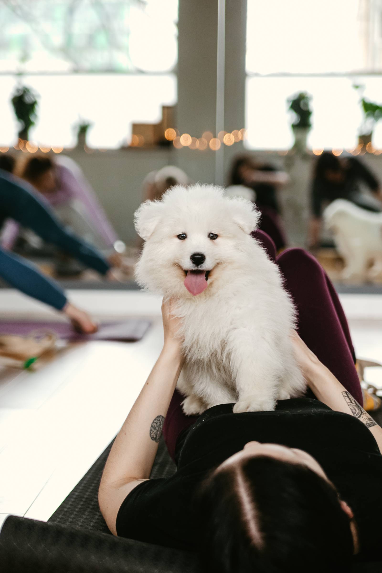 Zajęcia Paw Yogi / Fot. Izabela Cichocka