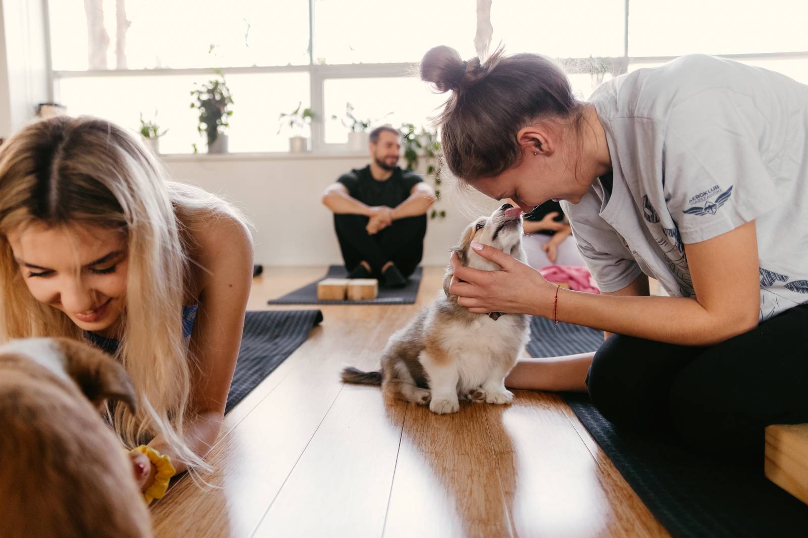 Zajęcia Paw Yogi (Fot. Izabela Cichocka)