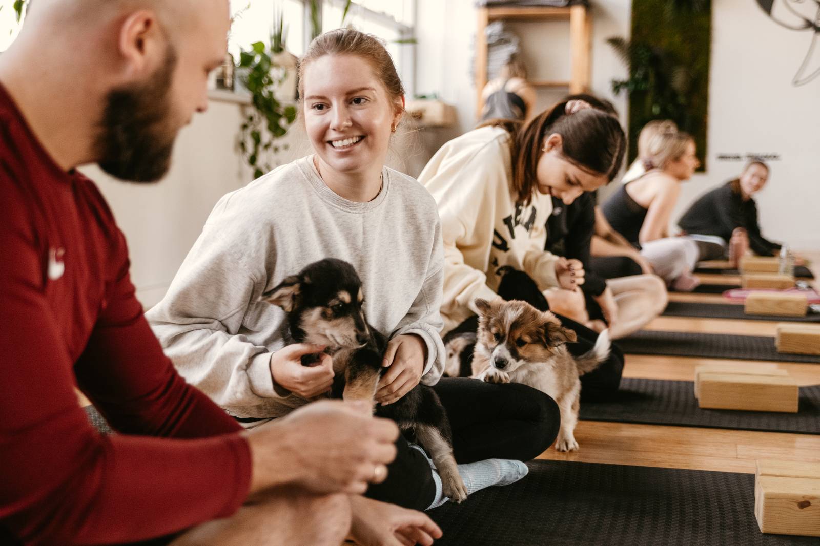 Zajęcia Paw Yogi (Fot. Izabela Cichocka)