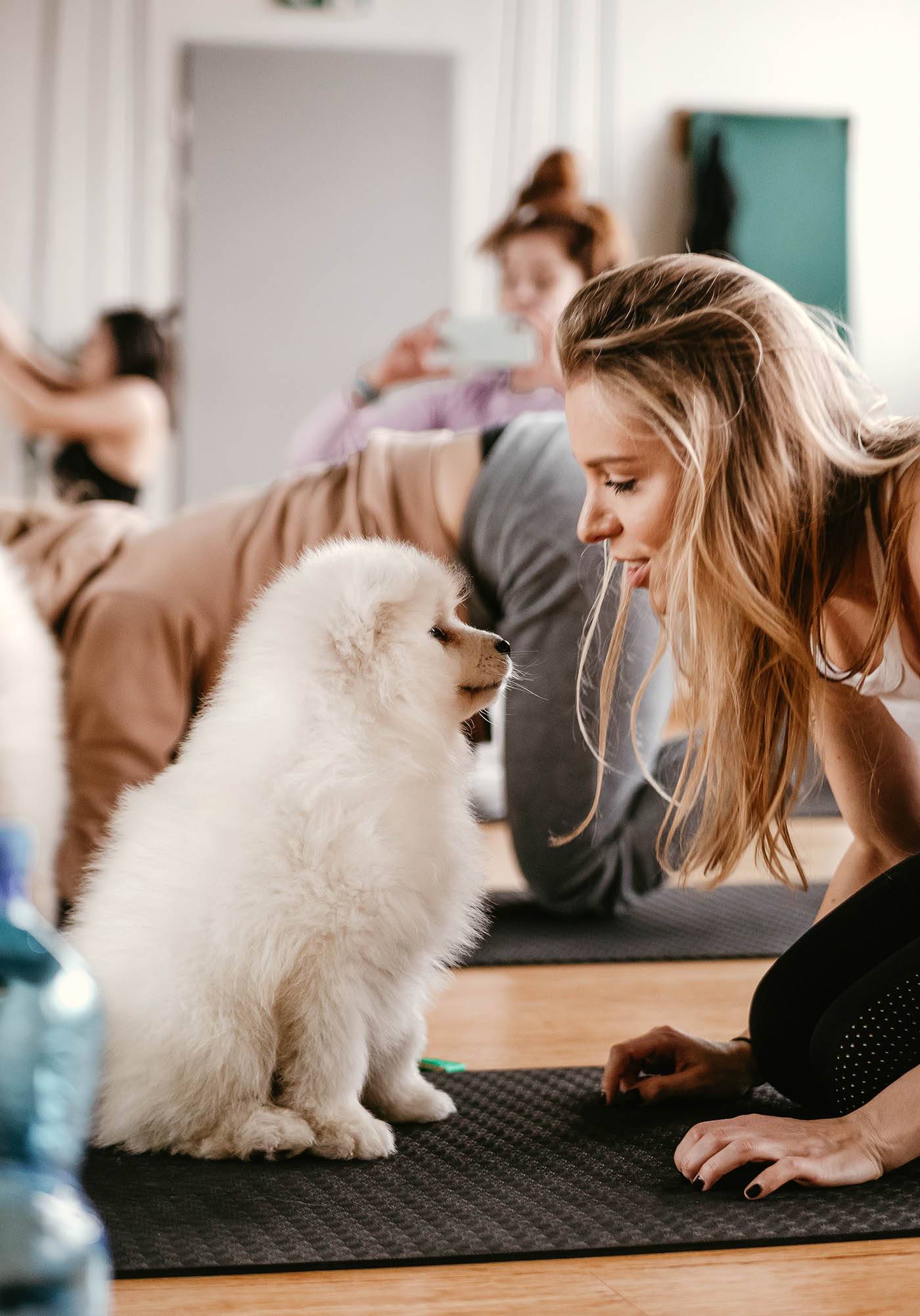 Zajęcia Paw Yogi / Fot. Izabela Cichocka