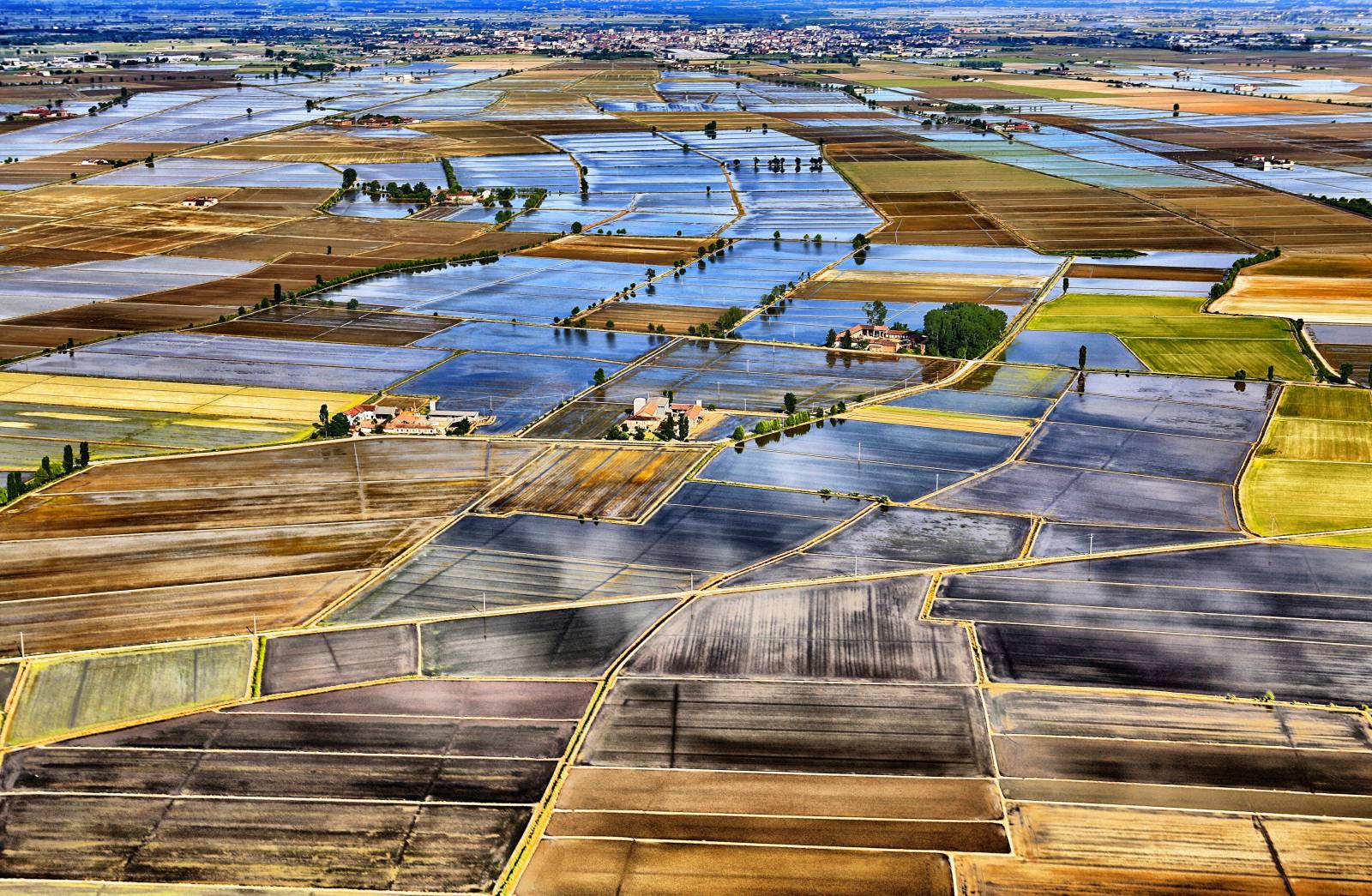 Pola ryżowe w Vercelli we Włoszech, fot. Getty Images