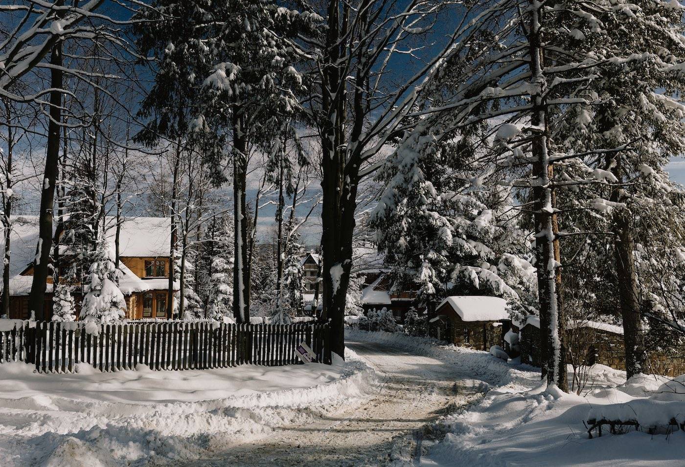 Miejscowość na wzgórzu Antałówka (Fot. Getty Images)