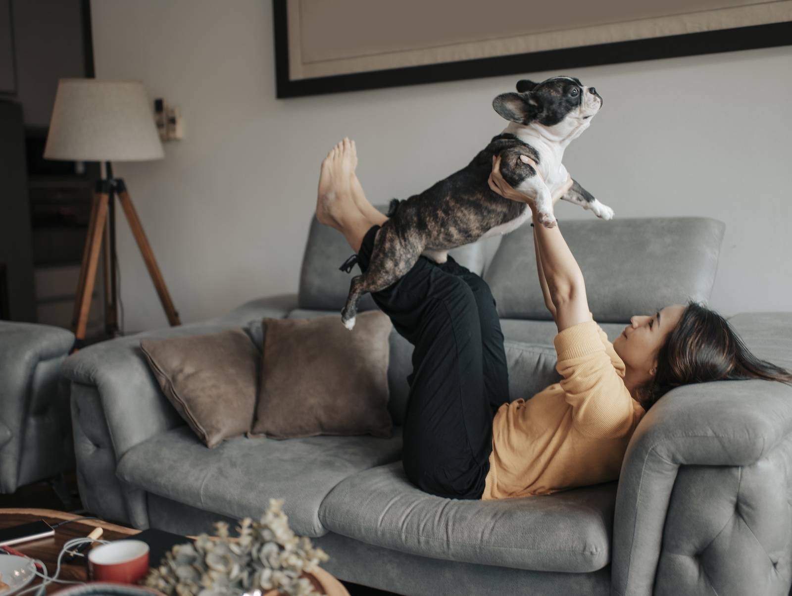 Piesotto i Samsung podpowiadają, jak dbać o dobrostan psów (Fot. Getty Images)