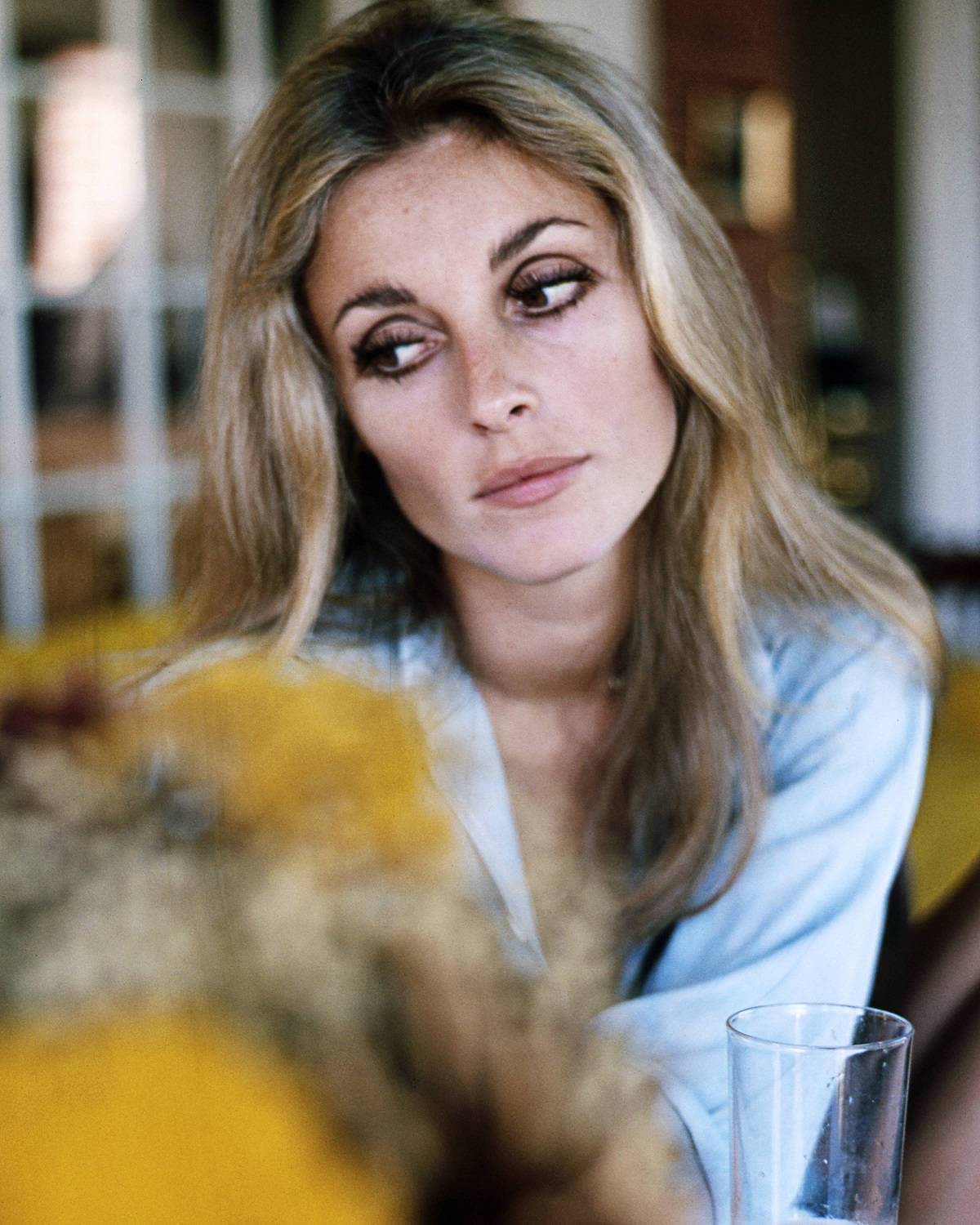 Sharon Tate w 1965 roku